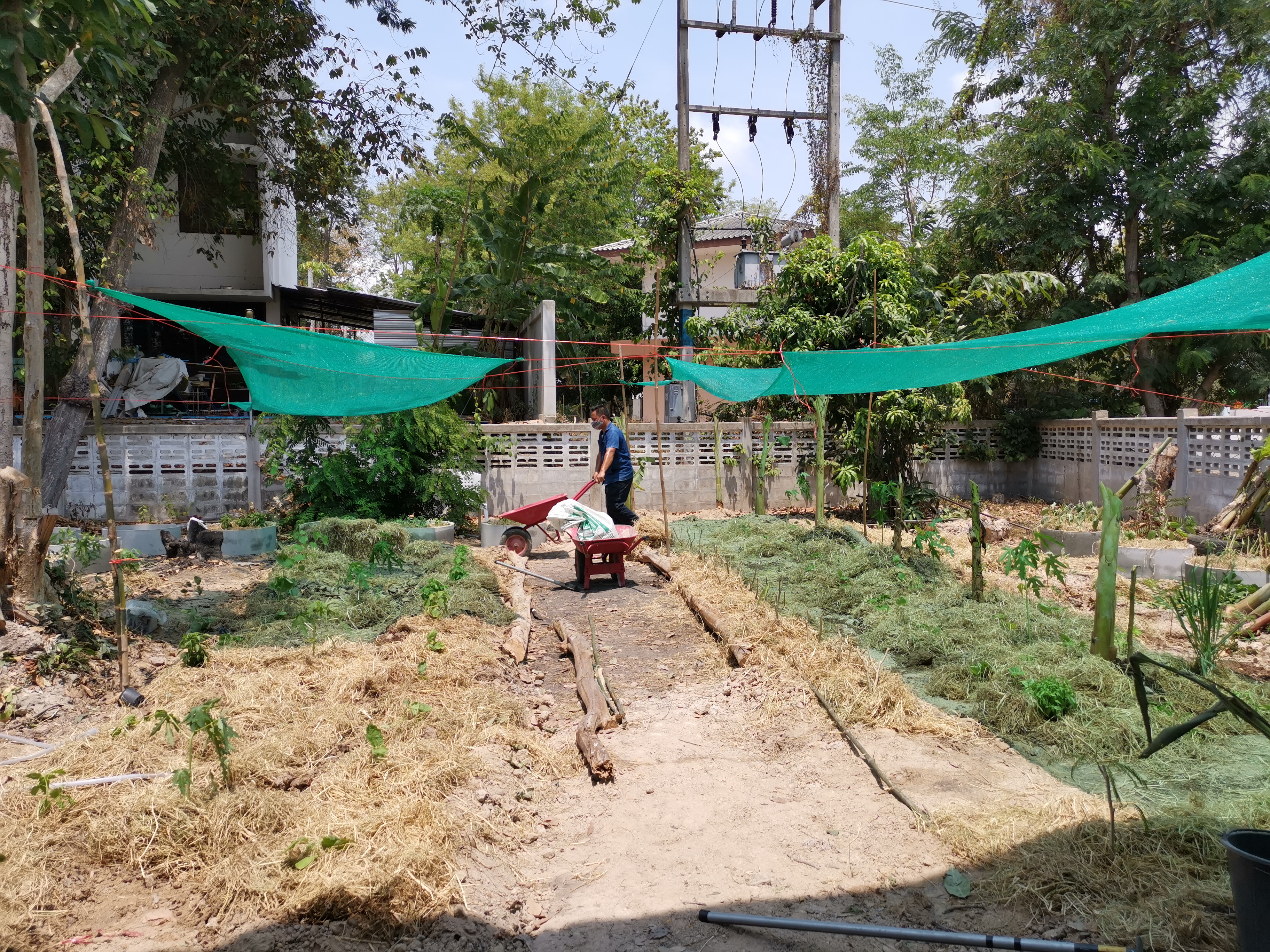 พช.ระยอง เปิดปฏิบัติการเอามื้อ บ้านนี้มีรัก ปลูกผักกินเอง