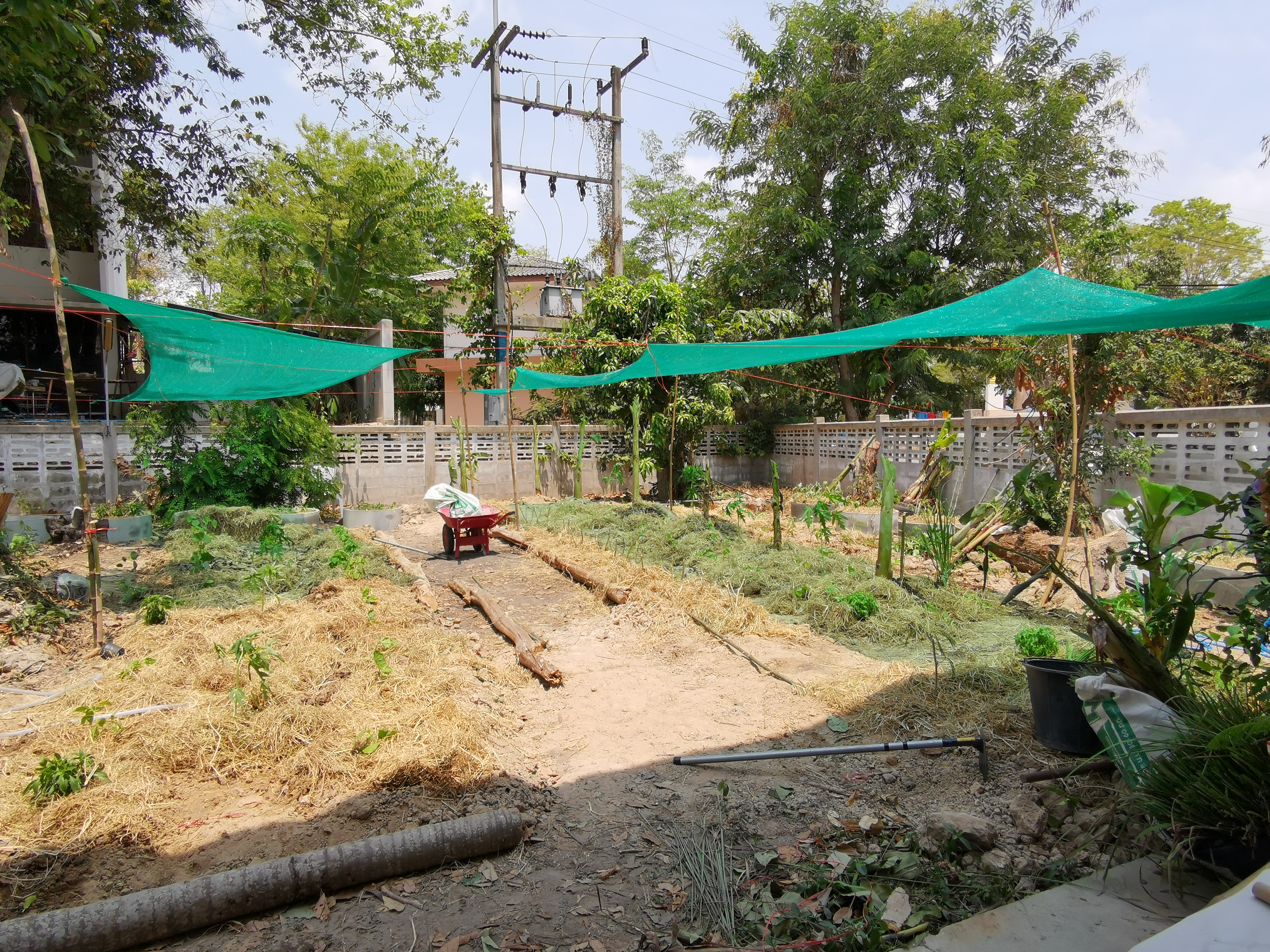 พช.ระยอง เปิดปฏิบัติการเอามื้อ บ้านนี้มีรัก ปลูกผักกินเอง