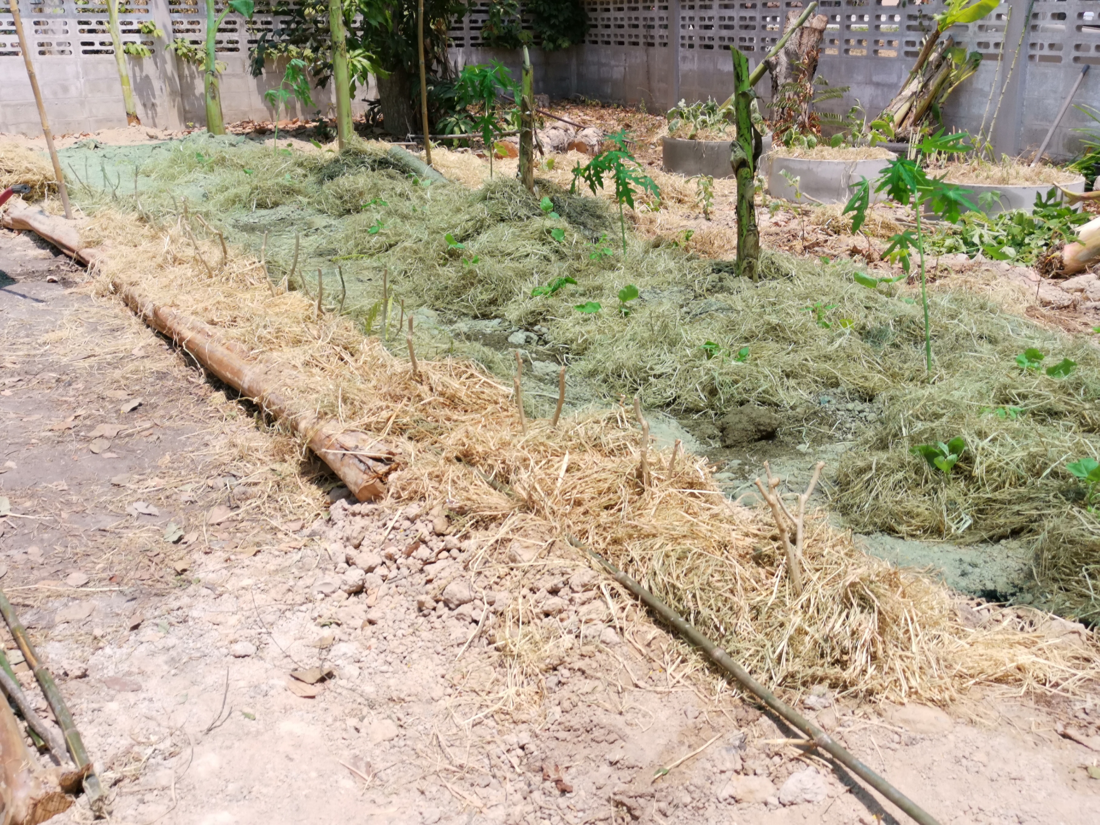 พช.ระยอง เปิดปฏิบัติการเอามื้อ บ้านนี้มีรัก ปลูกผักกินเอง