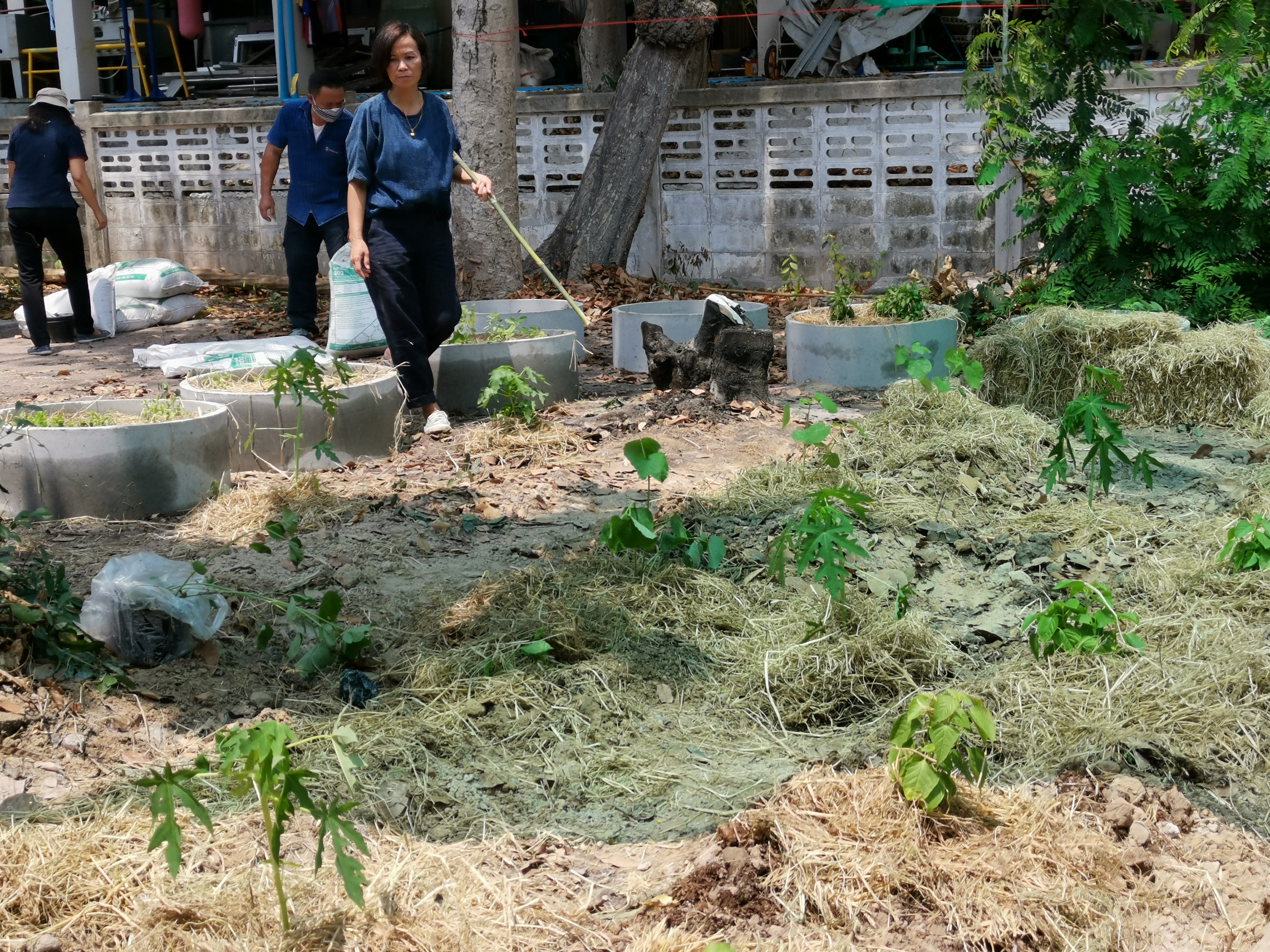 พช.ระยอง เปิดปฏิบัติการเอามื้อ บ้านนี้มีรัก ปลูกผักกินเอง