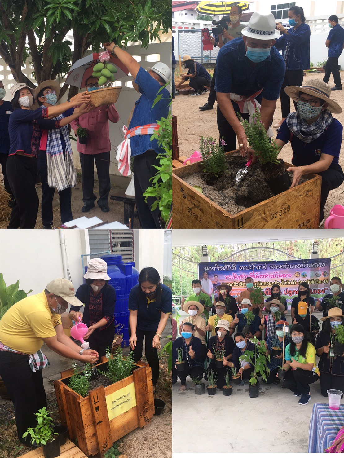 “พช.ระยอง จับมือหน่วยงานภาคี ผู้นำท้องที่ ผู้นำท้องถิ่น ร่วมใจกันปลูกผักสวนครัวบ้านพักนายอำเภอบ้านฉาง…ในกิจกรรมผู้นำต้องทำก่อน…ตามโครงการ ปลูกผักสวนครัว สร้างความมั่นคงทางอาหาร”