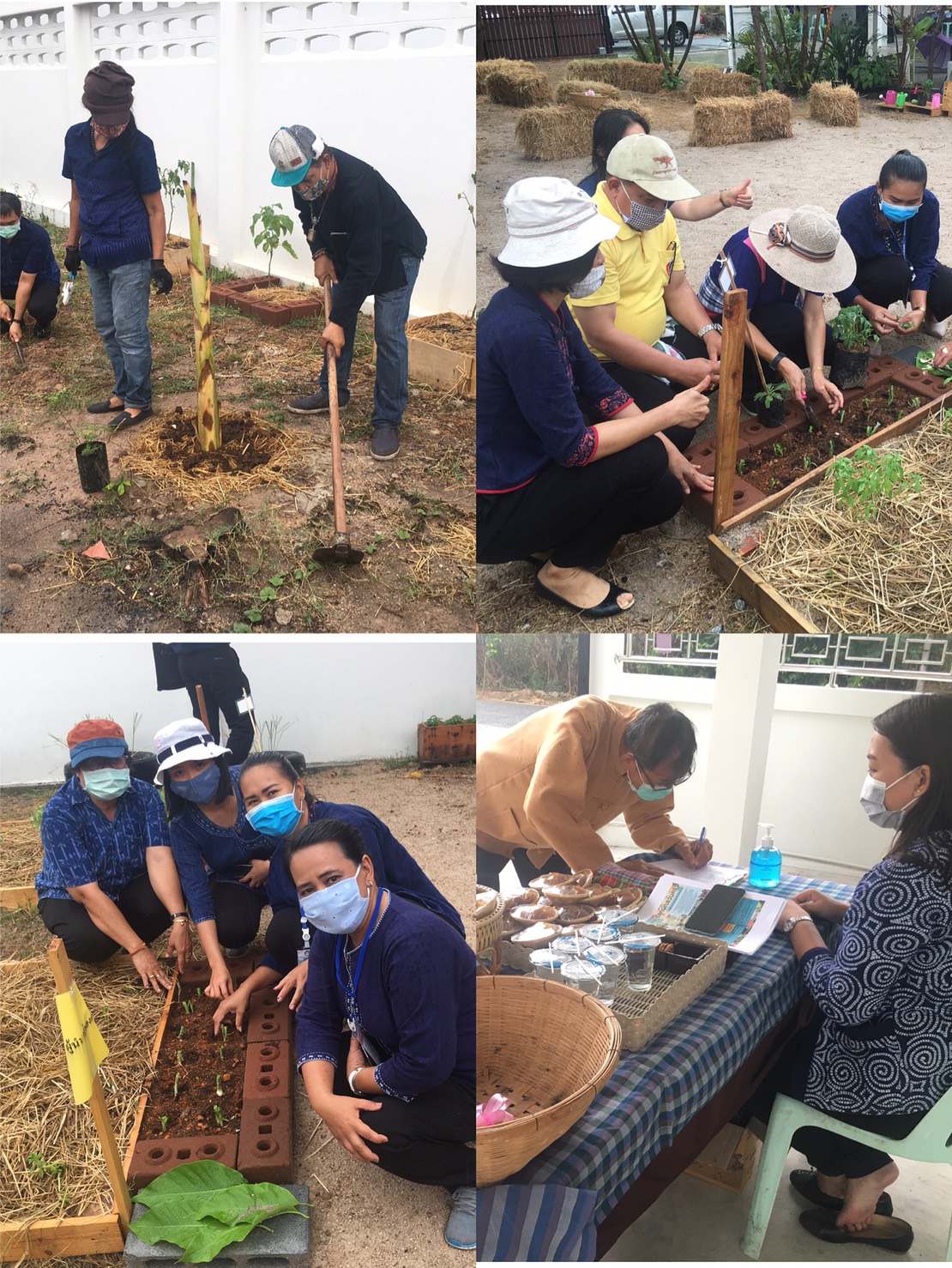 “พช.ระยอง จับมือหน่วยงานภาคี ผู้นำท้องที่ ผู้นำท้องถิ่น ร่วมใจกันปลูกผักสวนครัวบ้านพักนายอำเภอบ้านฉาง…ในกิจกรรมผู้นำต้องทำก่อน…ตามโครงการ ปลูกผักสวนครัว สร้างความมั่นคงทางอาหาร”