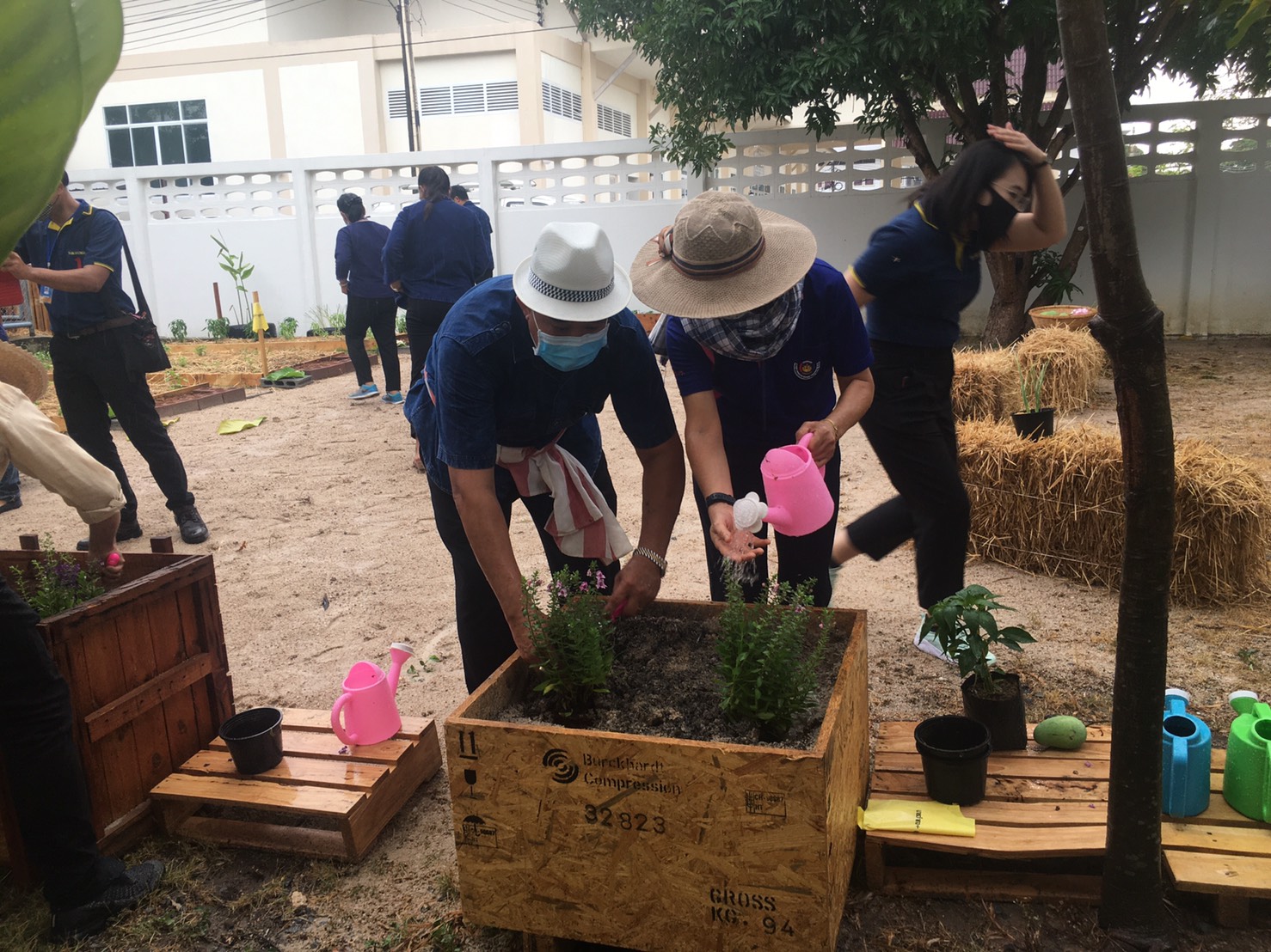 “พช.ระยอง จับมือหน่วยงานภาคี ผู้นำท้องที่ ผู้นำท้องถิ่น ร่วมใจกันปลูกผักสวนครัวบ้านพักนายอำเภอบ้านฉาง…ในกิจกรรมผู้นำต้องทำก่อน…ตามโครงการ ปลูกผักสวนครัว สร้างความมั่นคงทางอาหาร”
