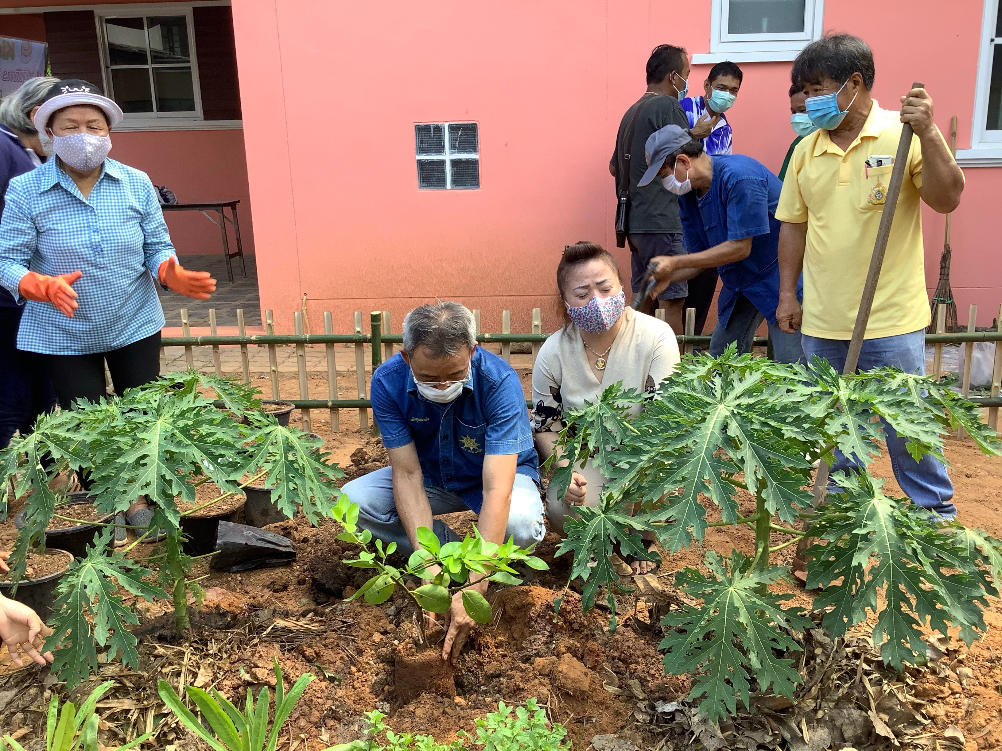 “พช. อ.แกลง  kick off เปิดปฏิบัติการ Quick win ปลูกพืชผักสวนครัว สร้างความมั่นคงทางอาหาร”