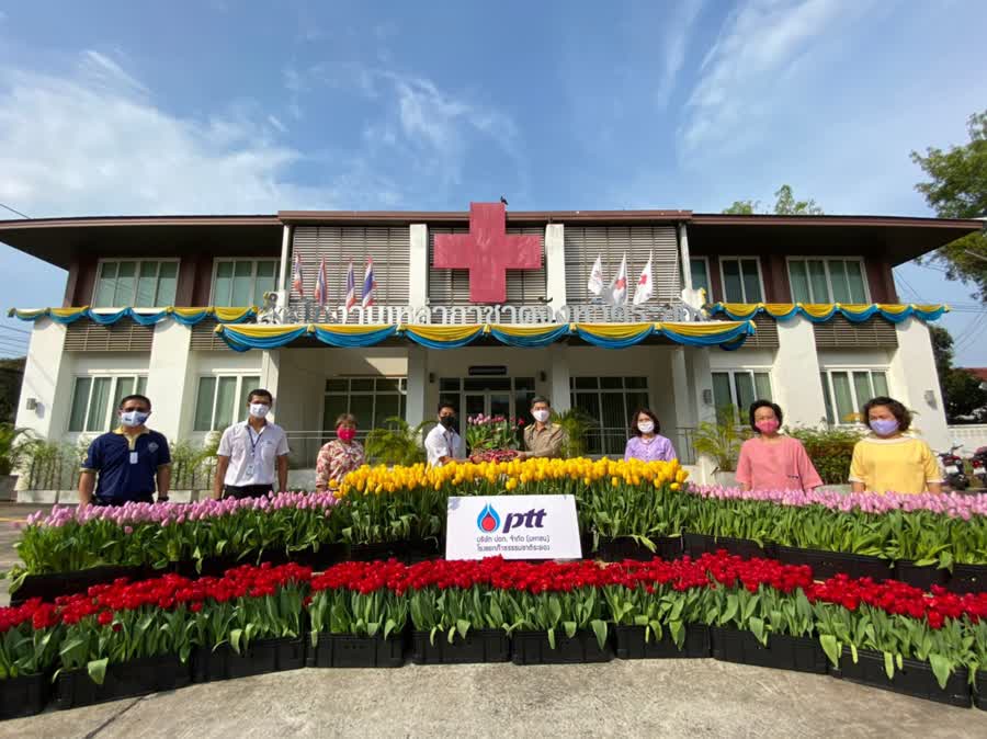 “ผู้ว่าฯ ระยอง พร้อมด้วยนายกเหล่ากาชาดจังหวัดระยอง มอบดอกทิวลิป ให้พัฒนาการจังหวัดระยอง เพื่อประชาสัมพันธ์การจัดจำหน่ายดอกทิวลิป นำรายได้ ช่วยเหลือครอบครัวผู้ได้รับผลกระทบจากโรคติดเชื้อไวรัสโคโรน่า 2019 (COVID-19)”
