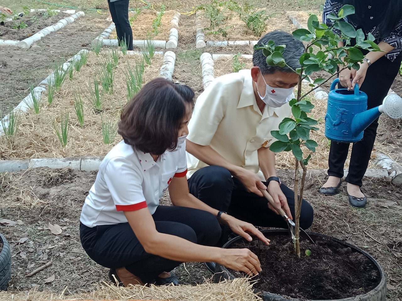 “เหล่ากาชาดจังหวัดระยอง Kick off  ปฏิบัติการ “ปลูกผักสวนครัว เพื่อความมั่นคงทางอาหาร” สู้ภัยทุกวิกฤต …พอเพียงตามรอยพ่อ”