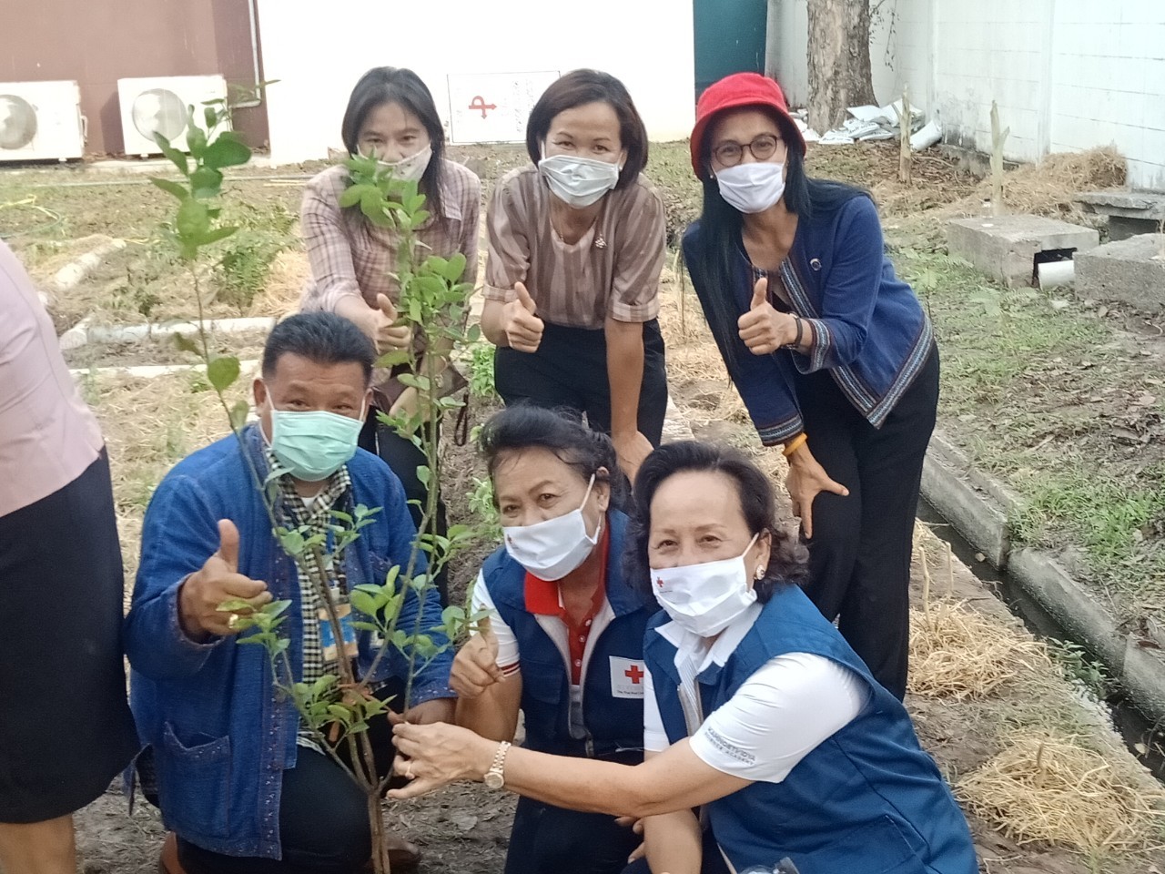 “เหล่ากาชาดจังหวัดระยอง Kick off  ปฏิบัติการ “ปลูกผักสวนครัว เพื่อความมั่นคงทางอาหาร” สู้ภัยทุกวิกฤต …พอเพียงตามรอยพ่อ”