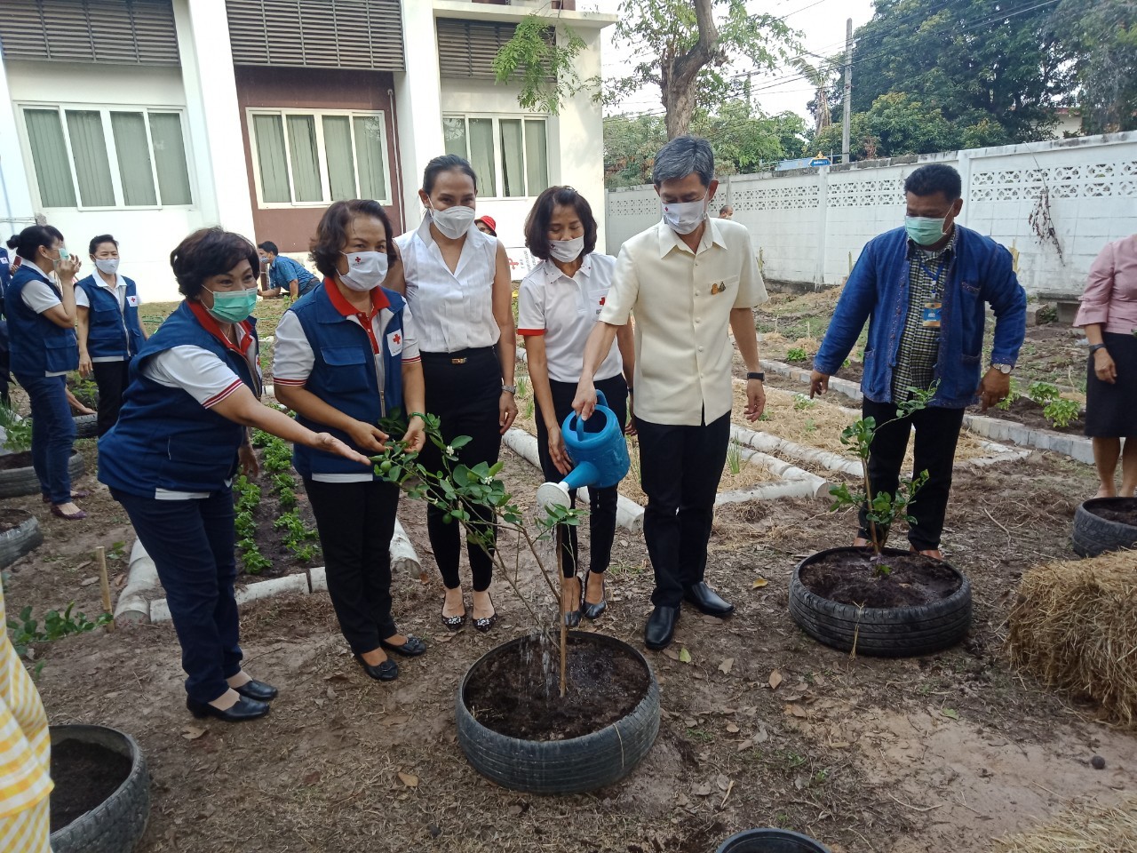 “เหล่ากาชาดจังหวัดระยอง Kick off  ปฏิบัติการ “ปลูกผักสวนครัว เพื่อความมั่นคงทางอาหาร” สู้ภัยทุกวิกฤต …พอเพียงตามรอยพ่อ”