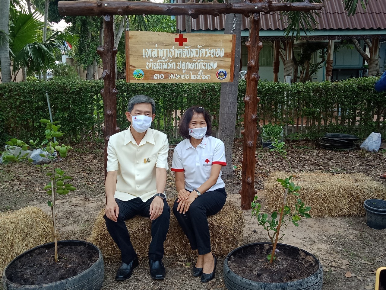 “เหล่ากาชาดจังหวัดระยอง Kick off  ปฏิบัติการ “ปลูกผักสวนครัว เพื่อความมั่นคงทางอาหาร” สู้ภัยทุกวิกฤต …พอเพียงตามรอยพ่อ”