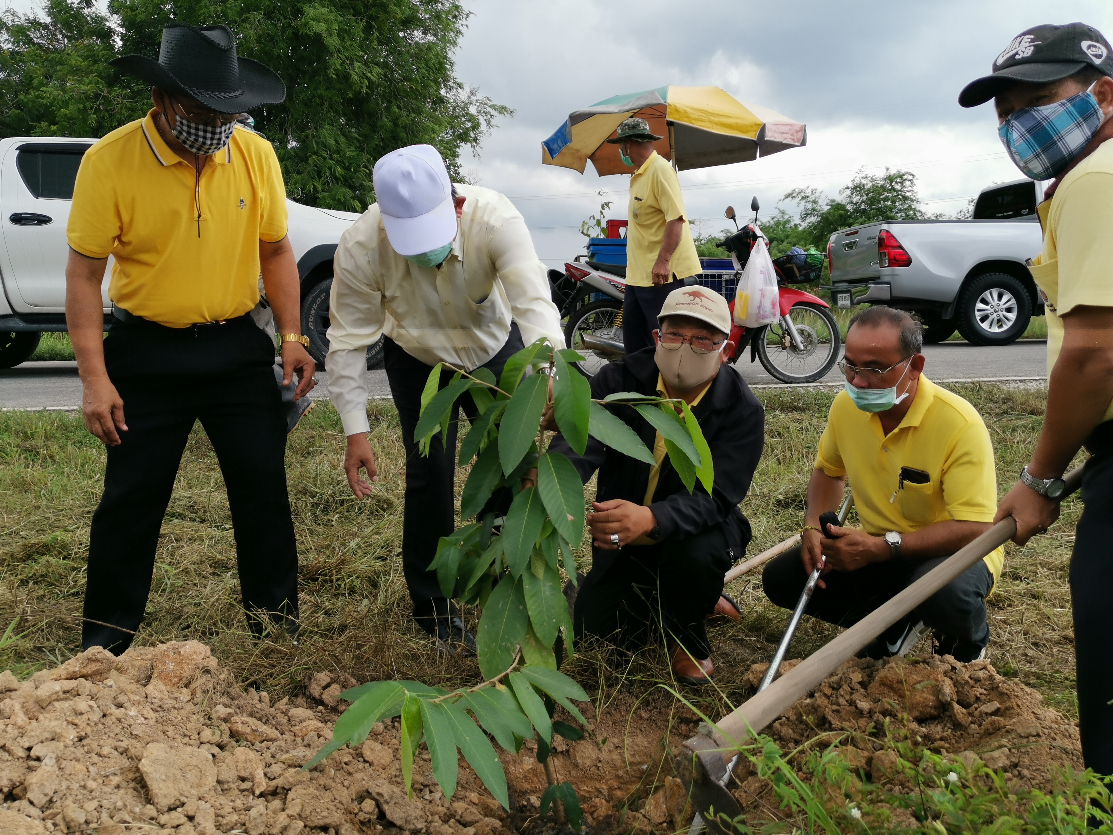 พช.ระยอง จัดกิจกรรมปลูกป่าเฉลิมพระเกียรติ เนื่องในโอกาสมหามงคลพระราชพิธีบรมราชาภิเษก ครบรอบ 1 ปี