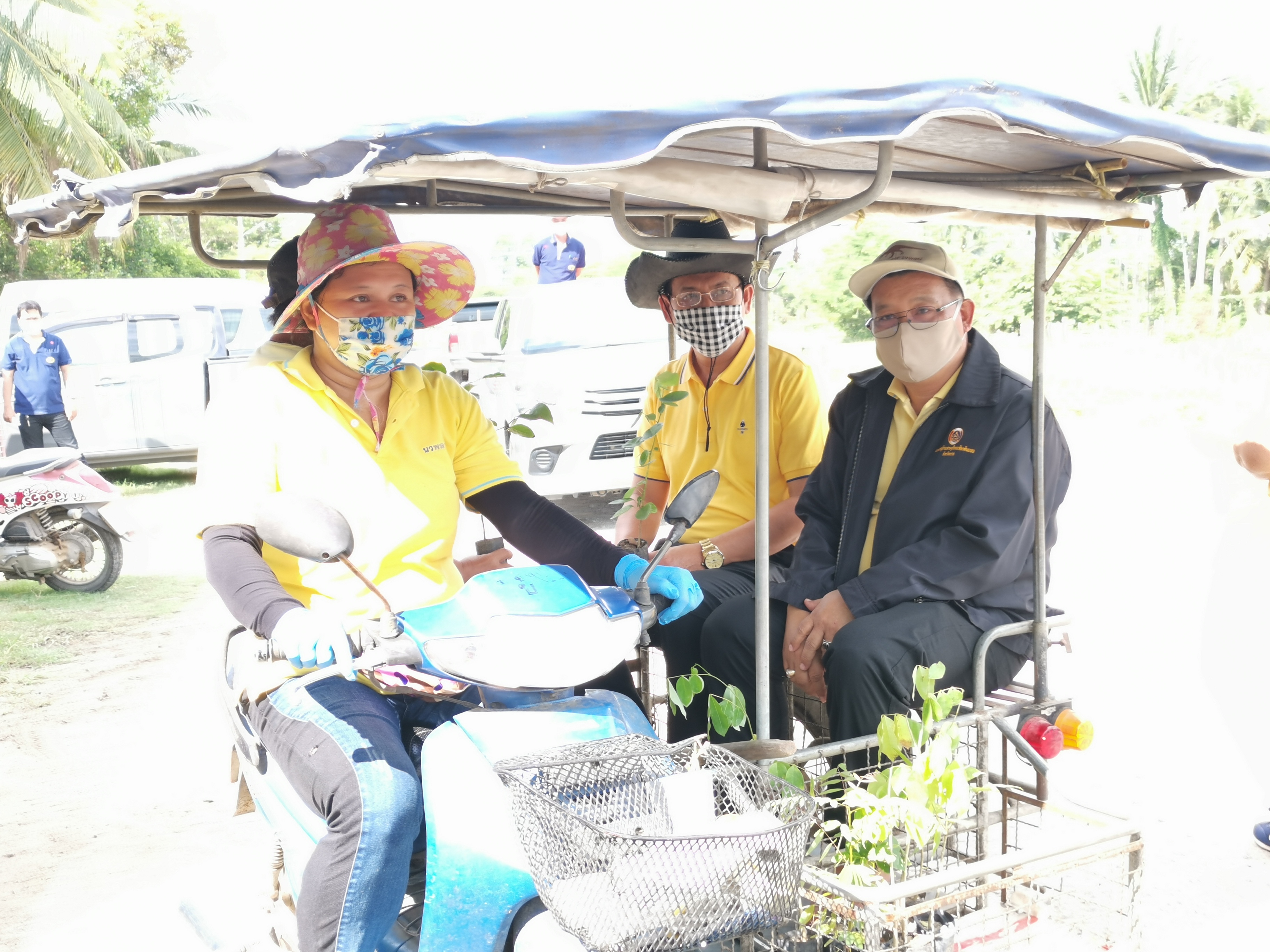 พช.ระยอง จัดกิจกรรมปลูกป่าเฉลิมพระเกียรติ เนื่องในโอกาสมหามงคลพระราชพิธีบรมราชาภิเษก ครบรอบ 1 ปี