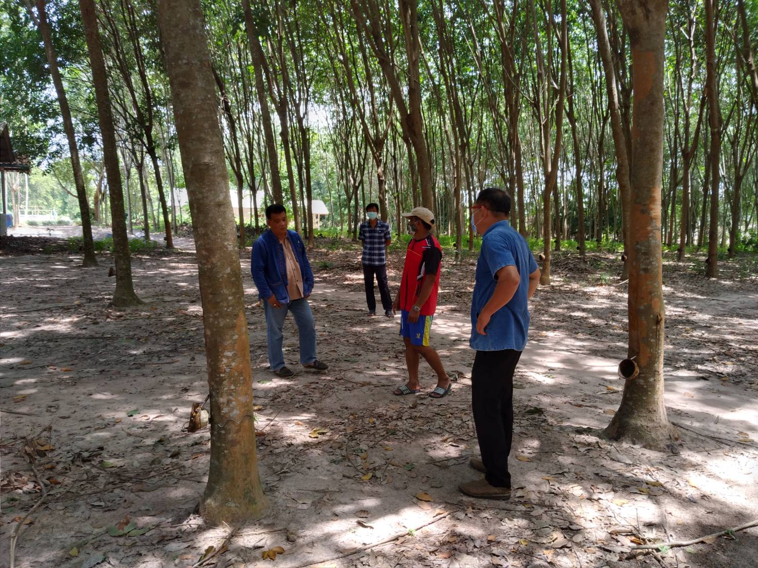 พัฒนาชุมชนจังหวัดระยอง ลงพื้นที่ ติดตามเยี่ยมเยือนผู้ประกอบการโอทอป และกลุ่มสัมมาชีพชุมชน