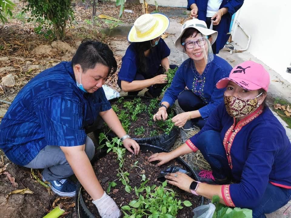 ?? “สตรีระยองขับเคลื่อนโครงการสตรีแบ่งปันรัก ปลูกพืชผักปลอดภัย ตามแผนปฏิบัติการ 90 วัน ปลูกผักสวนครัว เพื่อความมั่นคงทางอาหาร สู้ภัยทุกวิกฤต …พอเพียงตามรอยพ่อ”
