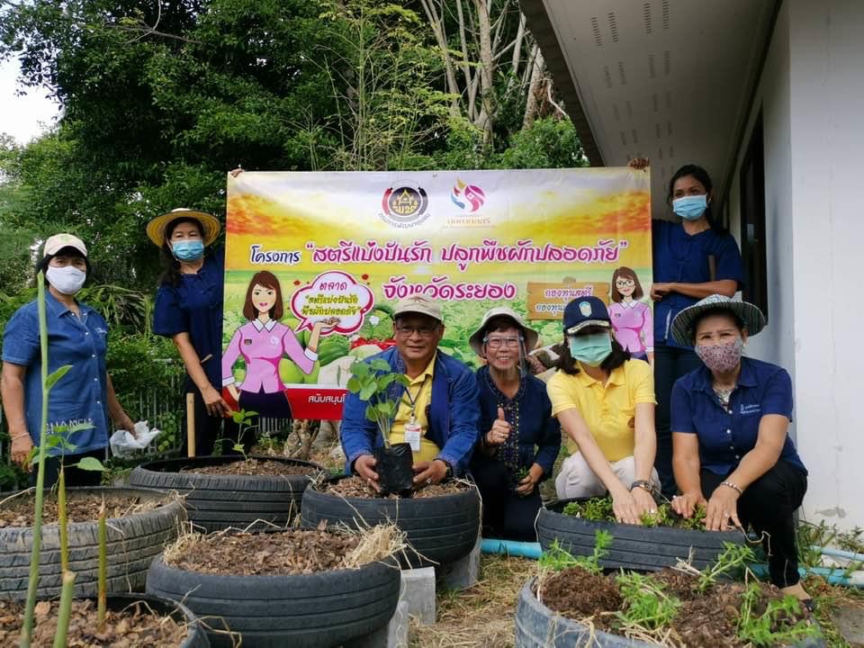 ?? “สตรีระยองขับเคลื่อนโครงการสตรีแบ่งปันรัก ปลูกพืชผักปลอดภัย ตามแผนปฏิบัติการ 90 วัน ปลูกผักสวนครัว เพื่อความมั่นคงทางอาหาร สู้ภัยทุกวิกฤต …พอเพียงตามรอยพ่อ”