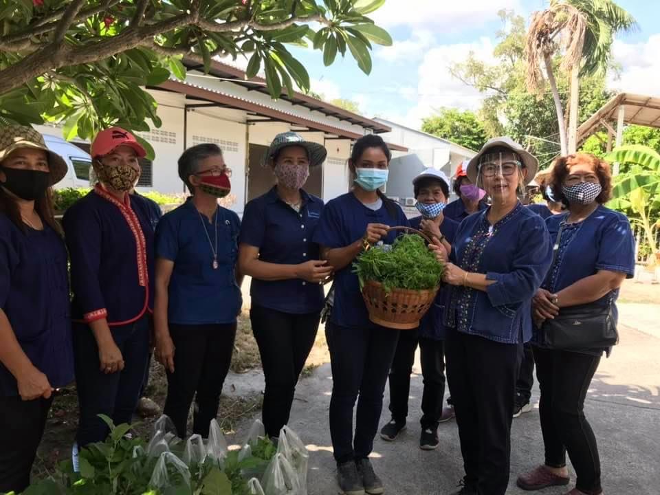 ?? “สตรีระยองขับเคลื่อนโครงการสตรีแบ่งปันรัก ปลูกพืชผักปลอดภัย ตามแผนปฏิบัติการ 90 วัน ปลูกผักสวนครัว เพื่อความมั่นคงทางอาหาร สู้ภัยทุกวิกฤต …พอเพียงตามรอยพ่อ”