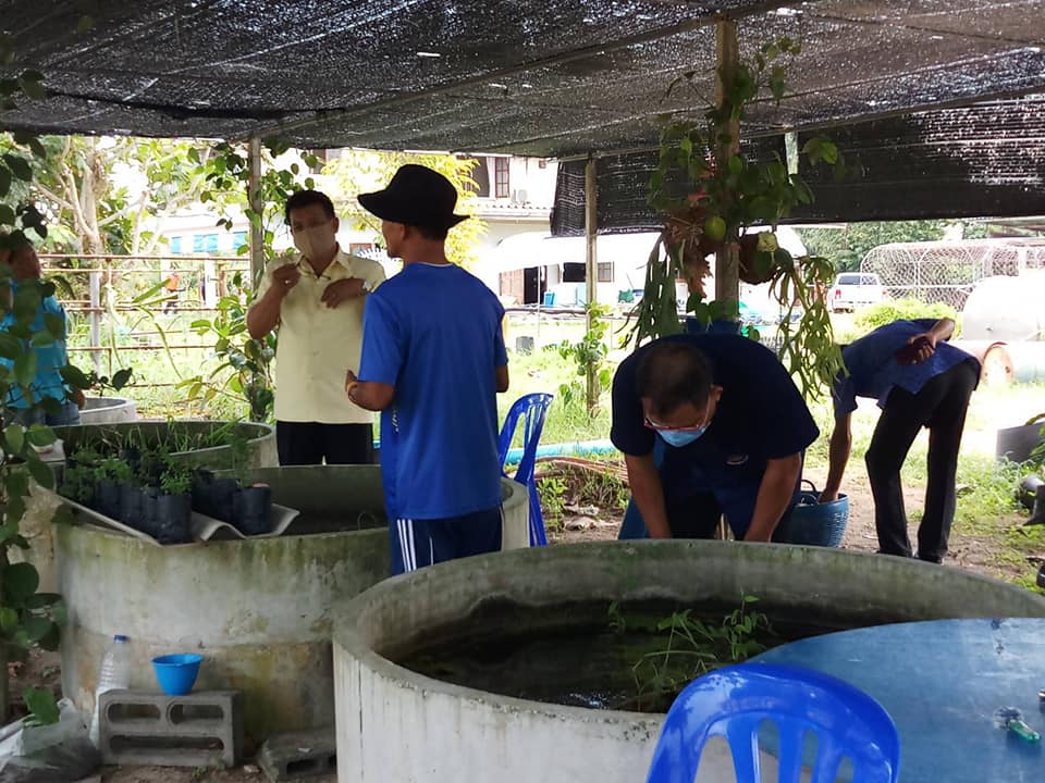 “พัฒนาการจังหวัด​ระยอง… ออกเยี่ยม กิจกรรมเศรษฐกิจพอเพียงของที่ปรึกษาพัฒนาการจังหวัดระยอง และพบปะพูดคุยกับทีมงานโคกหนองนาโมเดลอำเภอบ้านค่าย”