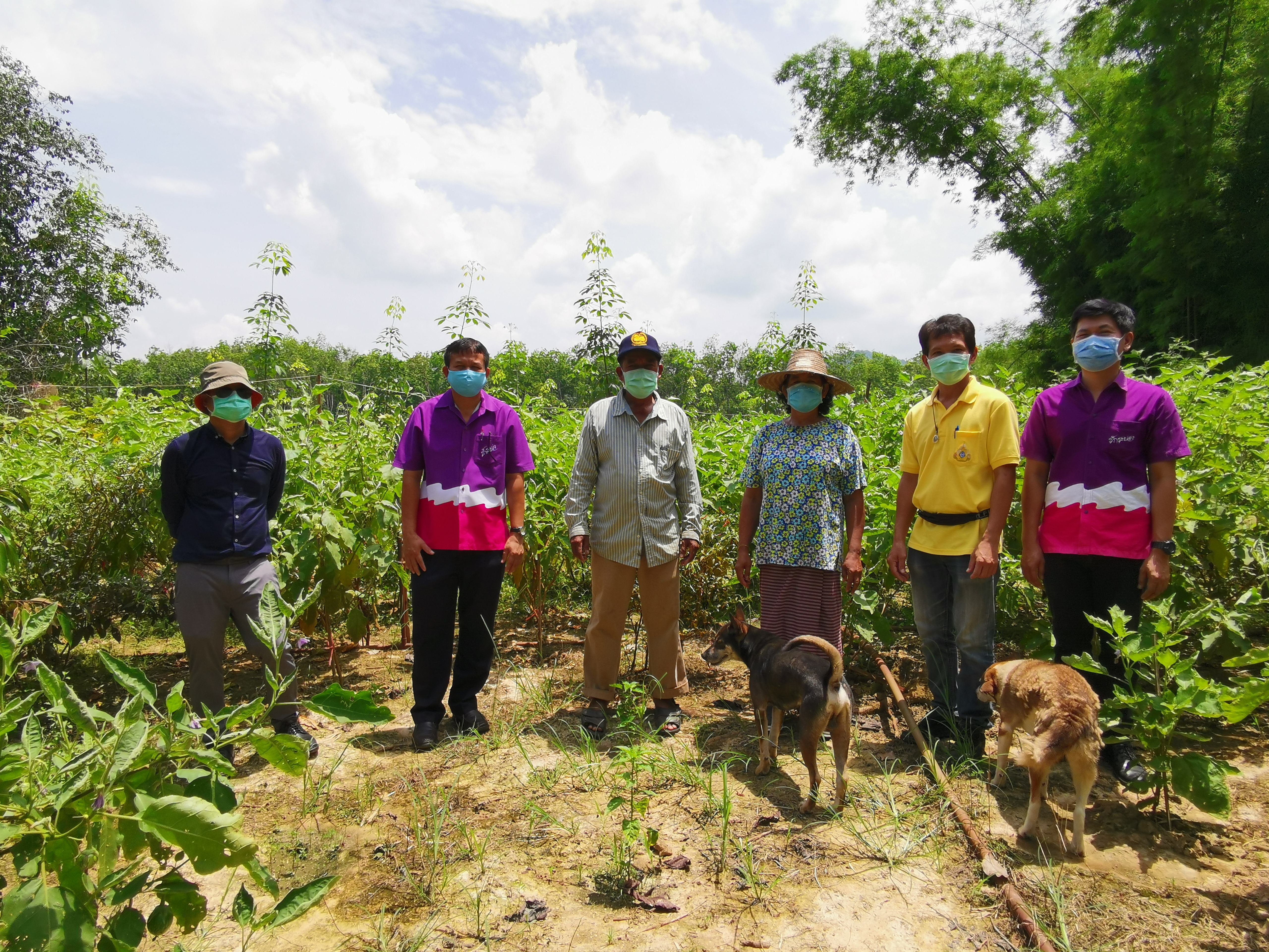 “พัฒนาชุมชนจังหวัดรเยอง ลงพื้นที่ติดตามการขับเคลื่อนครัวเรือนสัมมาชีพชุมชน อำเภอเขาชะเมา”