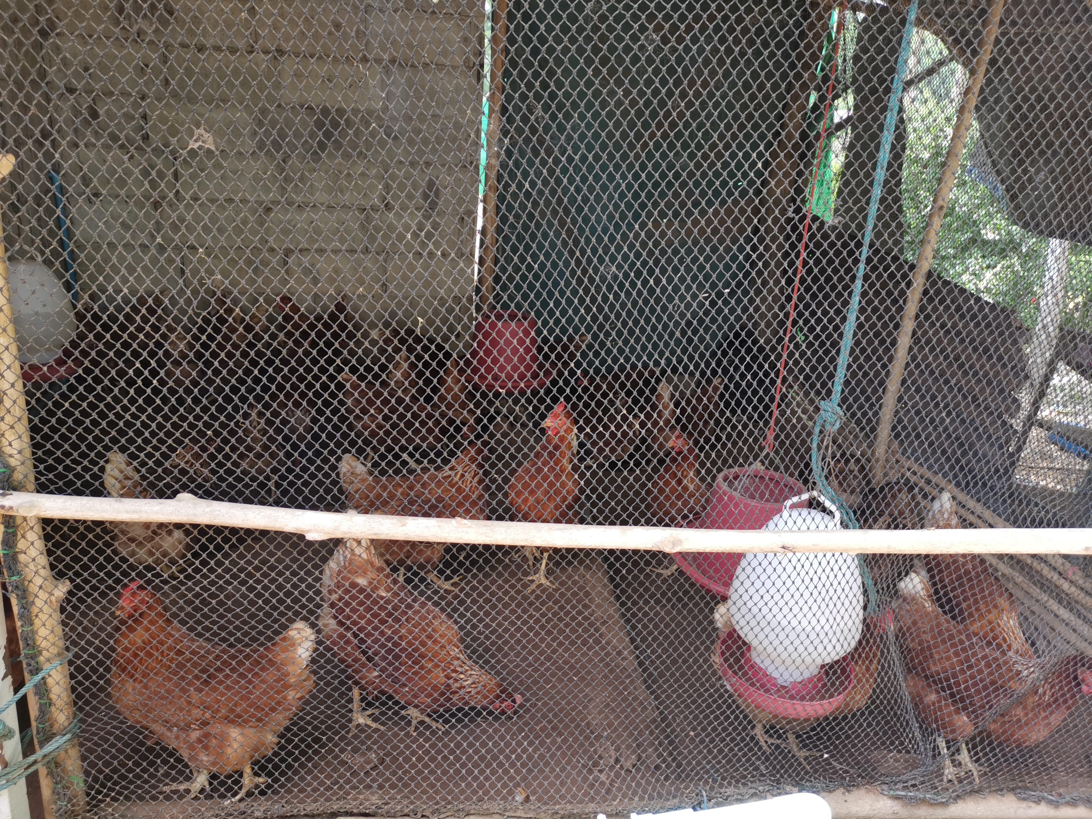 “พัฒนาชุมชนจังหวัดรเยอง ลงพื้นที่ติดตามการขับเคลื่อนครัวเรือนสัมมาชีพชุมชน อำเภอเขาชะเมา”