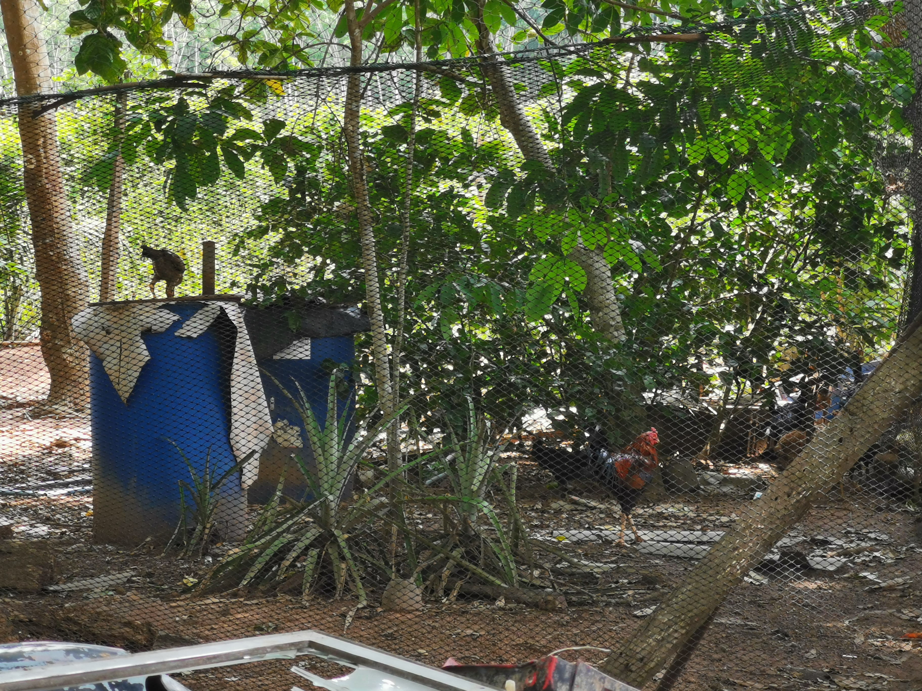 “พัฒนาชุมชนจังหวัดรเยอง ลงพื้นที่ติดตามการขับเคลื่อนครัวเรือนสัมมาชีพชุมชน อำเภอเขาชะเมา”