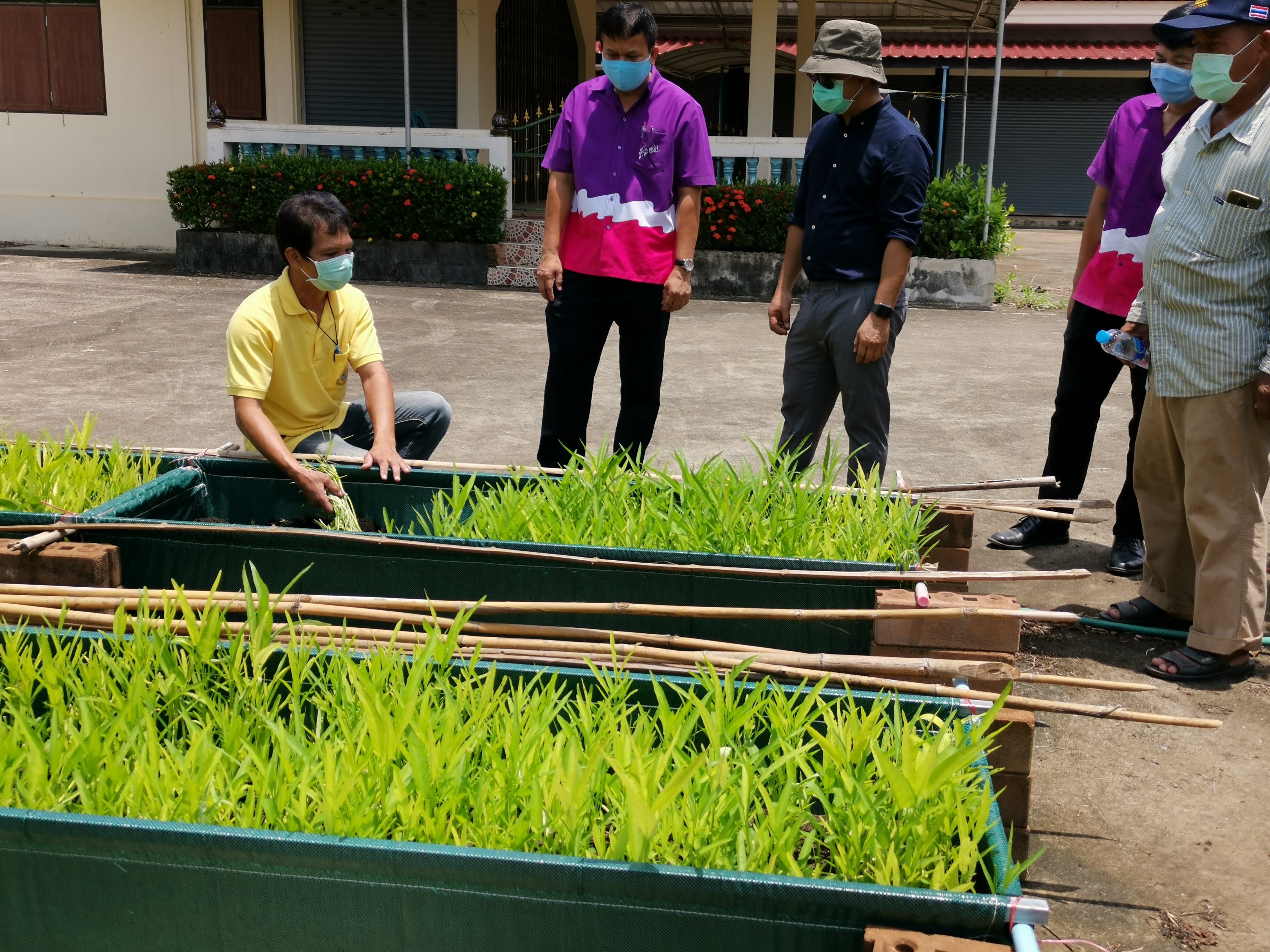 “พัฒนาชุมชนจังหวัดรเยอง ลงพื้นที่ติดตามการขับเคลื่อนครัวเรือนสัมมาชีพชุมชน อำเภอเขาชะเมา”