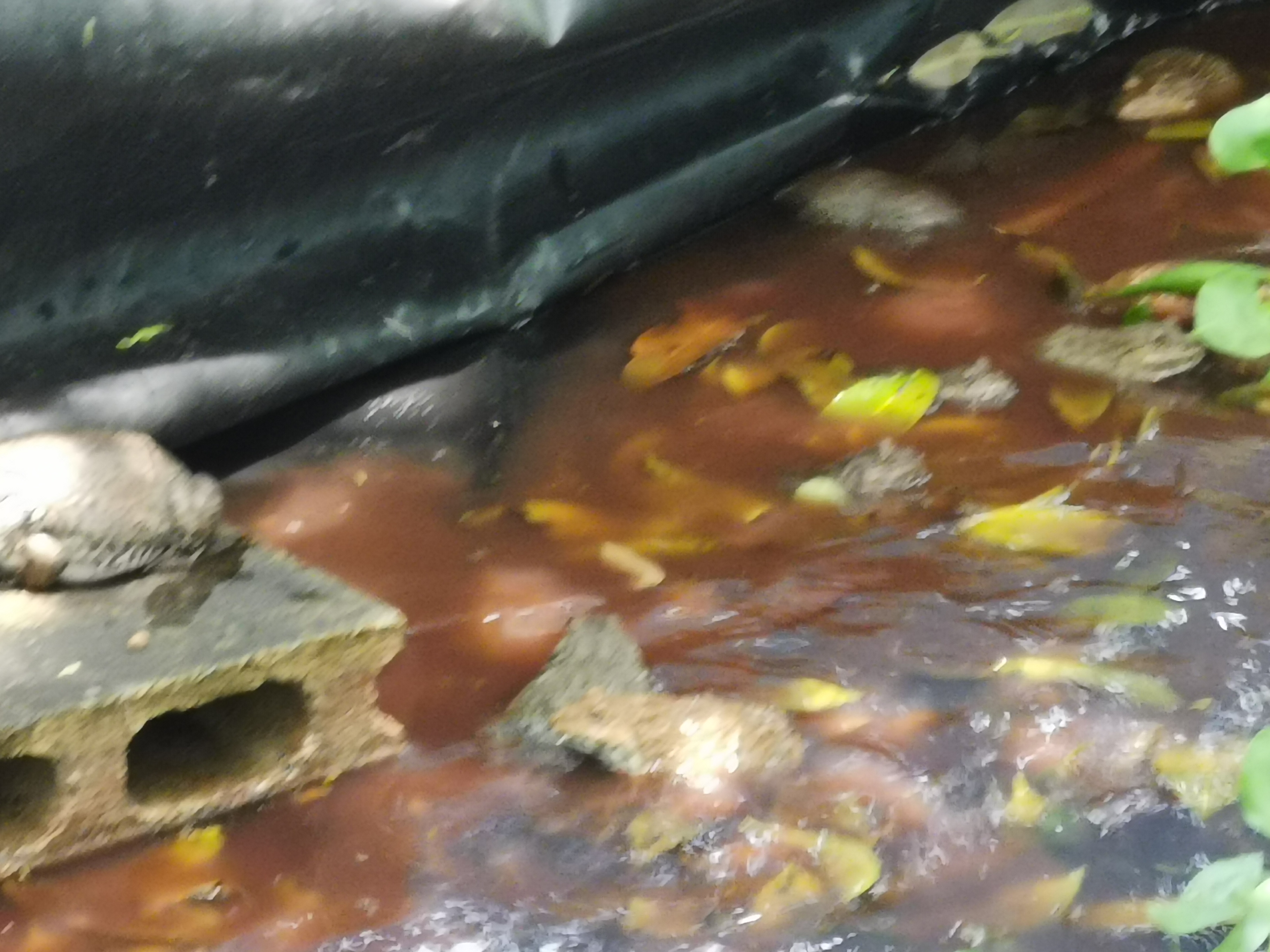 “พัฒนาชุมชนจังหวัดรเยอง ลงพื้นที่ติดตามการขับเคลื่อนครัวเรือนสัมมาชีพชุมชน อำเภอเขาชะเมา”