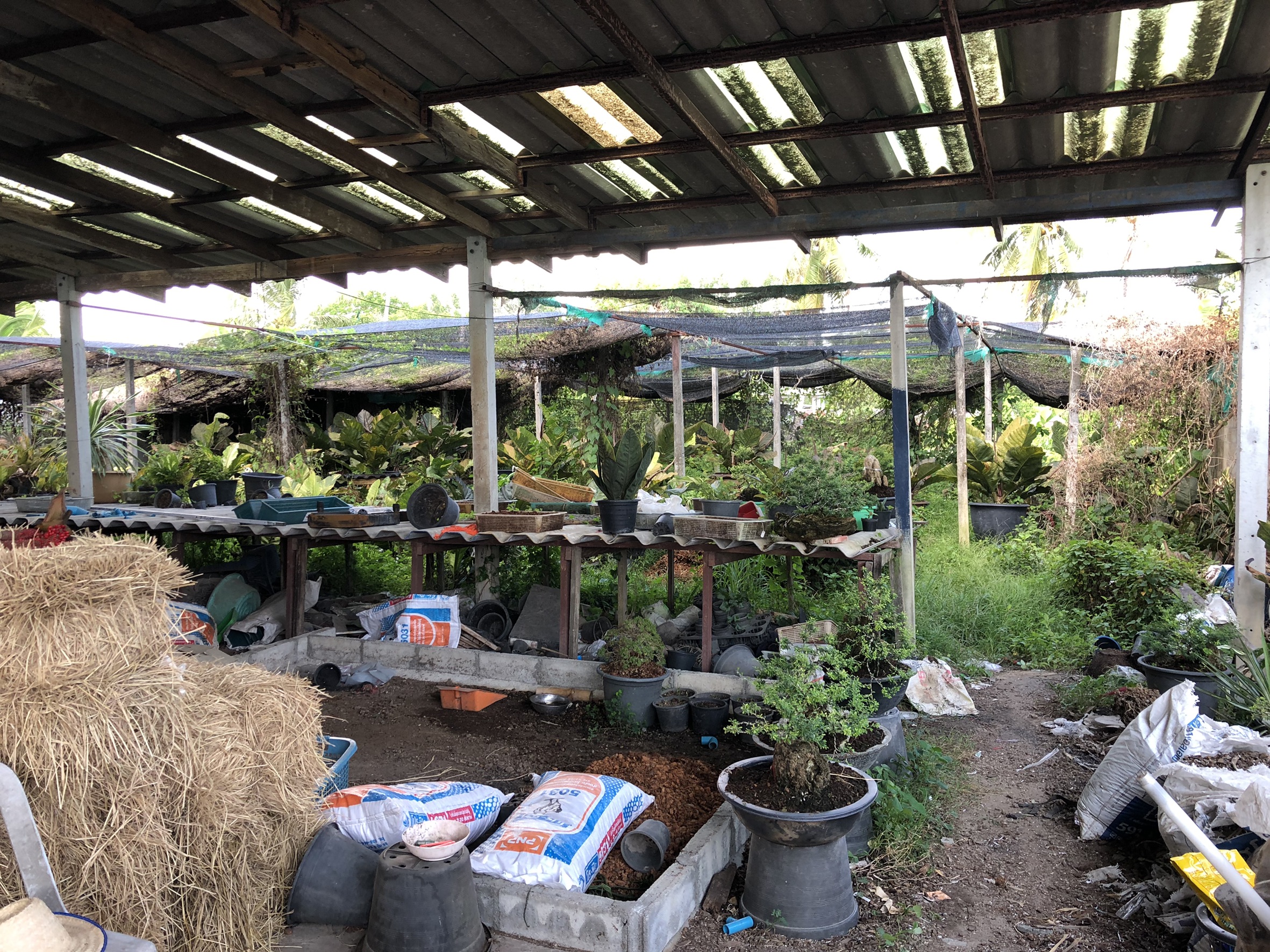 “พัฒนาการจังหวัดระยอง ลงพื้นที่ติดตามการขับเคลื่อนครัวเรือนสัมมาชีพชุมชน อำเภอบ้านฉาง”