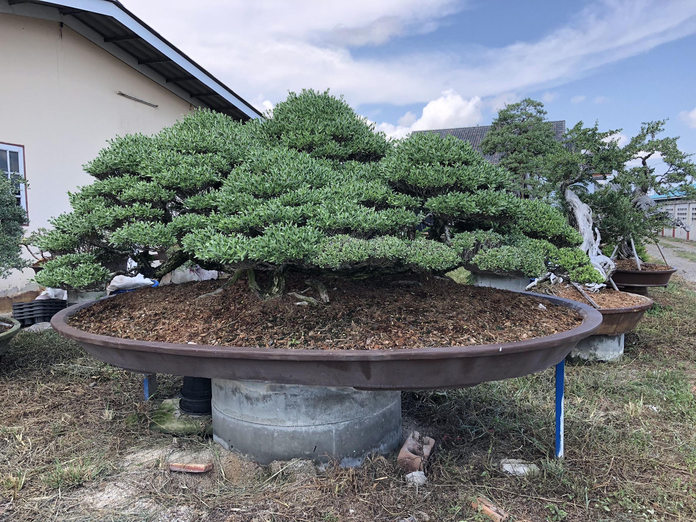 “พัฒนาการจังหวัดระยอง ลงพื้นที่ติดตามการขับเคลื่อนครัวเรือนสัมมาชีพชุมชน อำเภอบ้านฉาง”