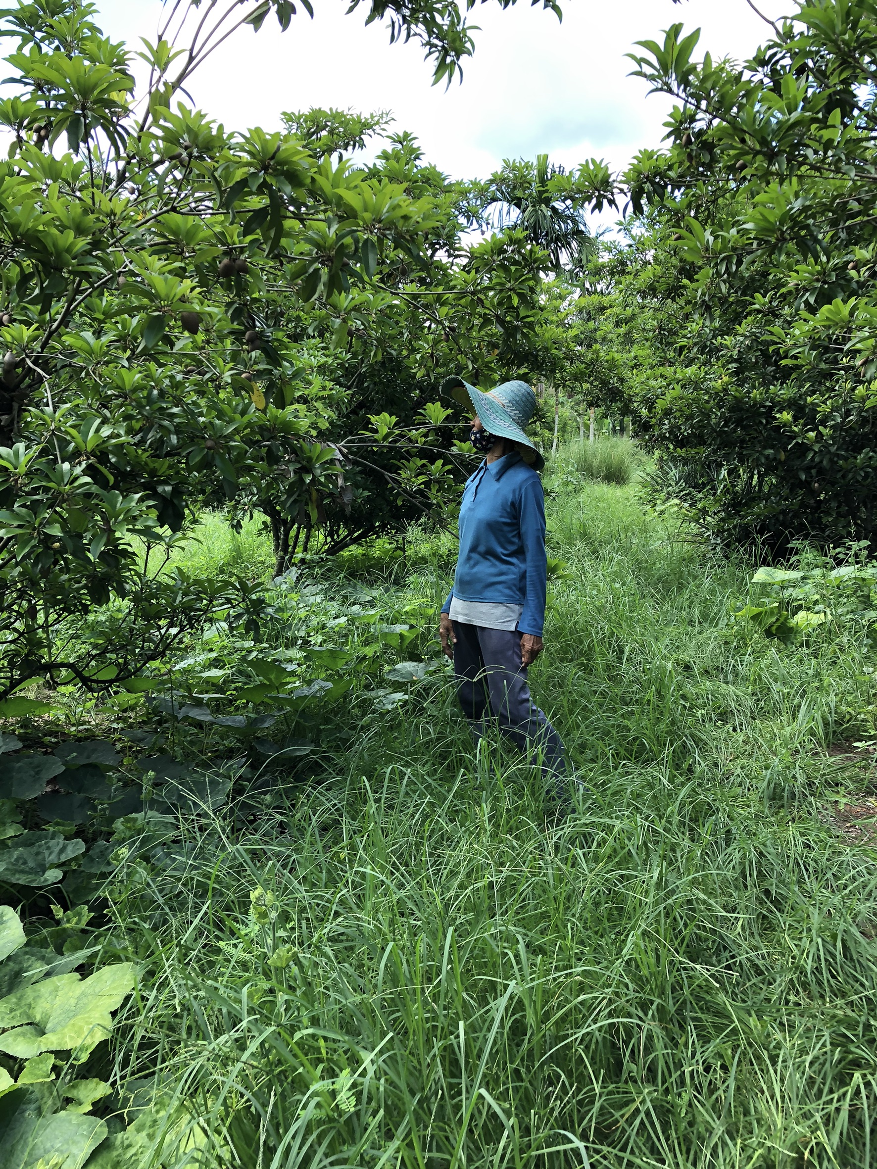 ?? “พช.จังหวัดระยอง ลงพื้นที่ติดตามการขับเคลื่อนครัวเรือนสัมมาชีพชุมชน อำเภอนิคมพัฒนา และอำเภอปลวกแดง”