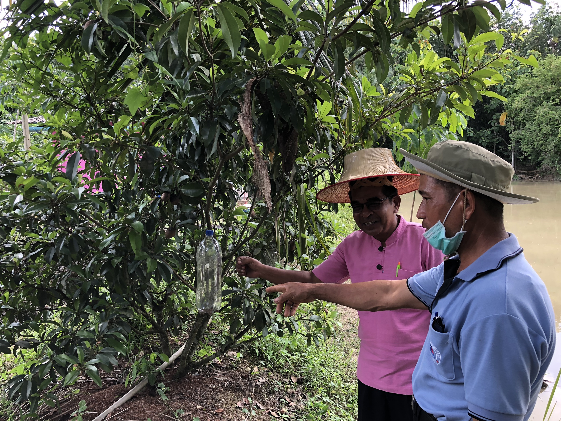 ?? “พช.จังหวัดระยอง ลงพื้นที่ติดตามการขับเคลื่อนครัวเรือนสัมมาชีพชุมชน อำเภอนิคมพัฒนา และอำเภอปลวกแดง”