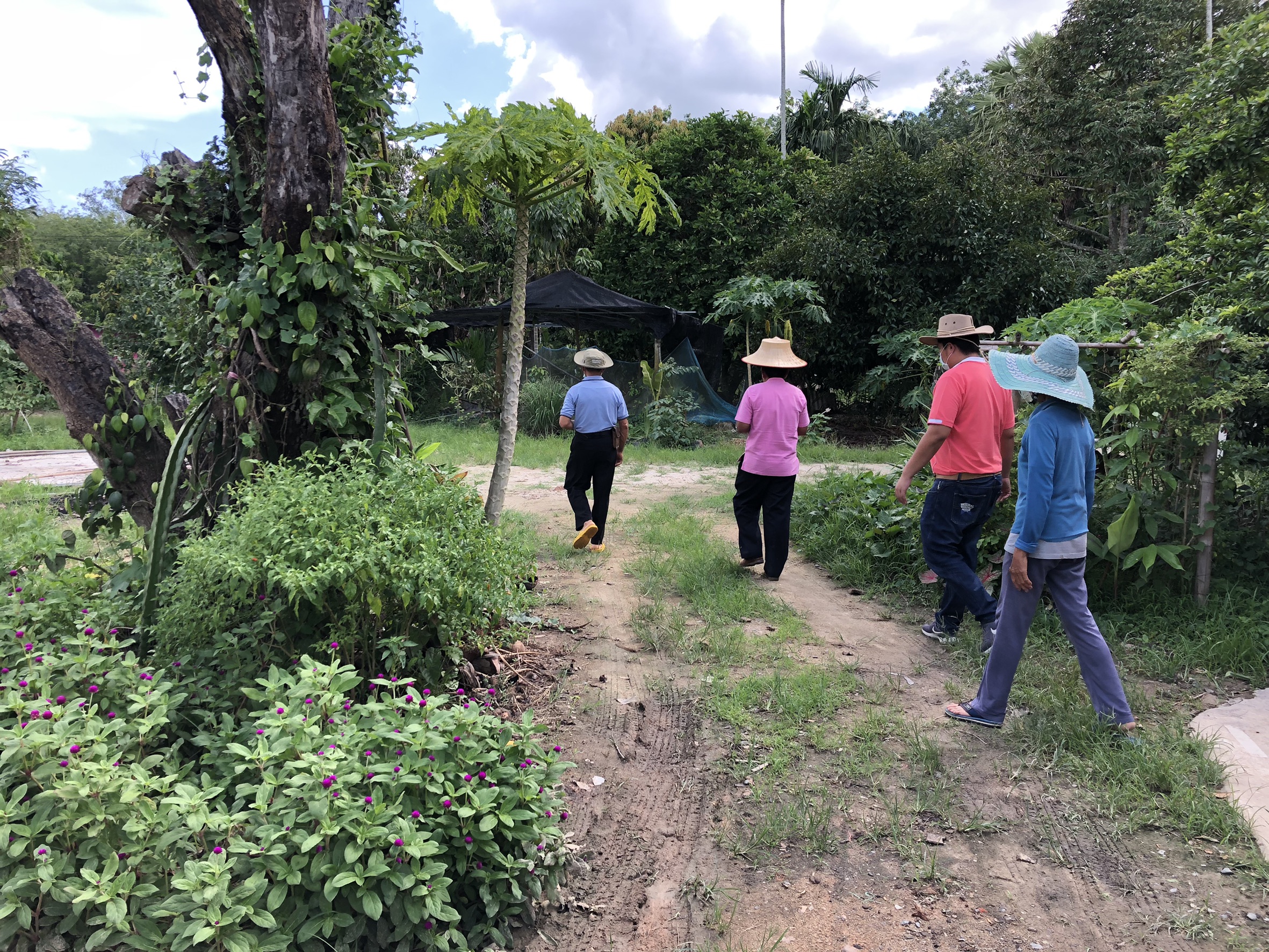 ?? “พช.จังหวัดระยอง ลงพื้นที่ติดตามการขับเคลื่อนครัวเรือนสัมมาชีพชุมชน อำเภอนิคมพัฒนา และอำเภอปลวกแดง”