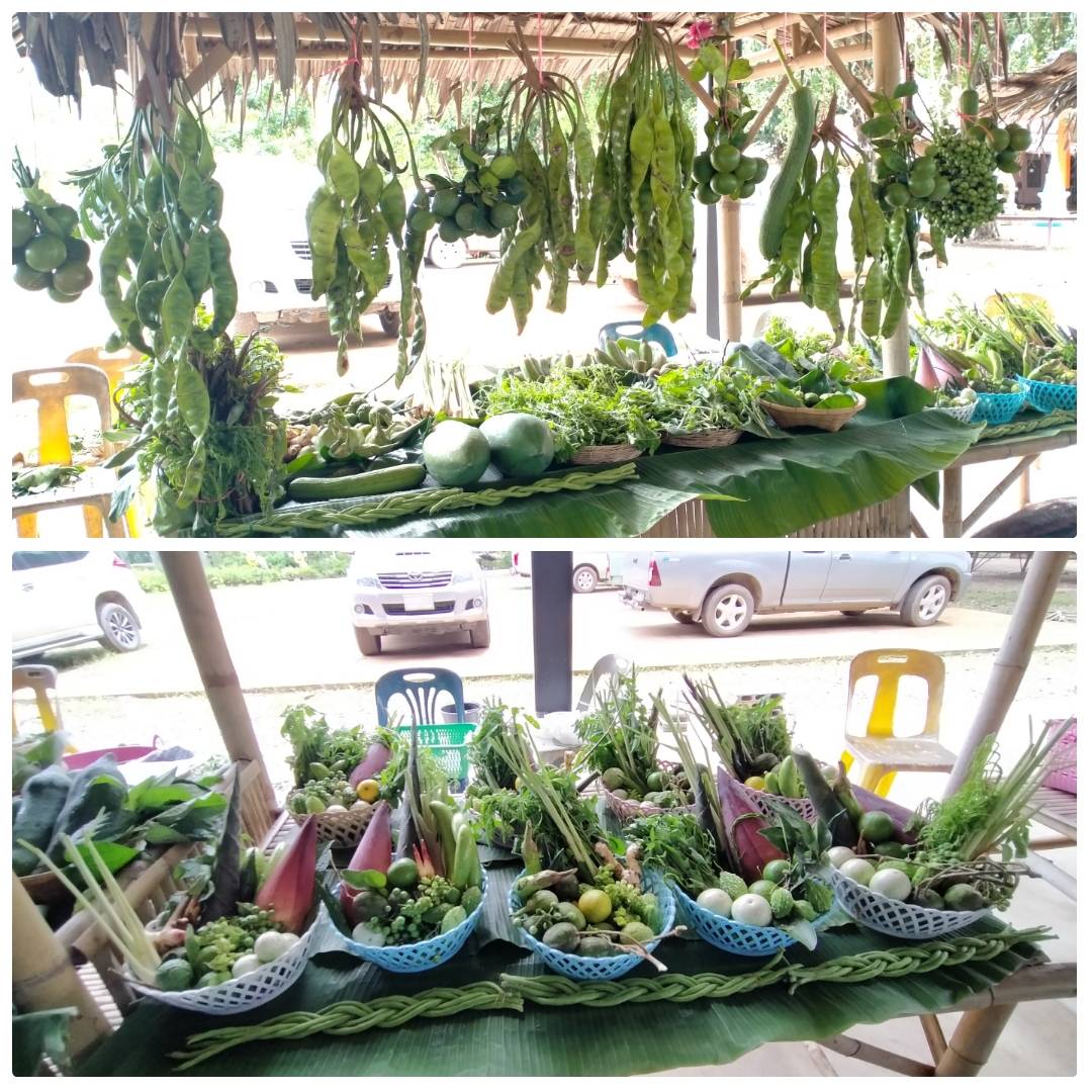 “พช.ระยอง”  วัน ที่ 10/10/2563 เวลา 10.00 น.  ดำเนินการคัดสรรกิจกรรมพัฒนาชุมชนดีเด่น ประจำปี 2563 ณ ศาลาหมู่บ้านพลงตาเอี่ยม หมู่ที่ 3 ตำบลพลงตาเอี่ยม อำเภอวังจันทร์ จังหวัดระยอง