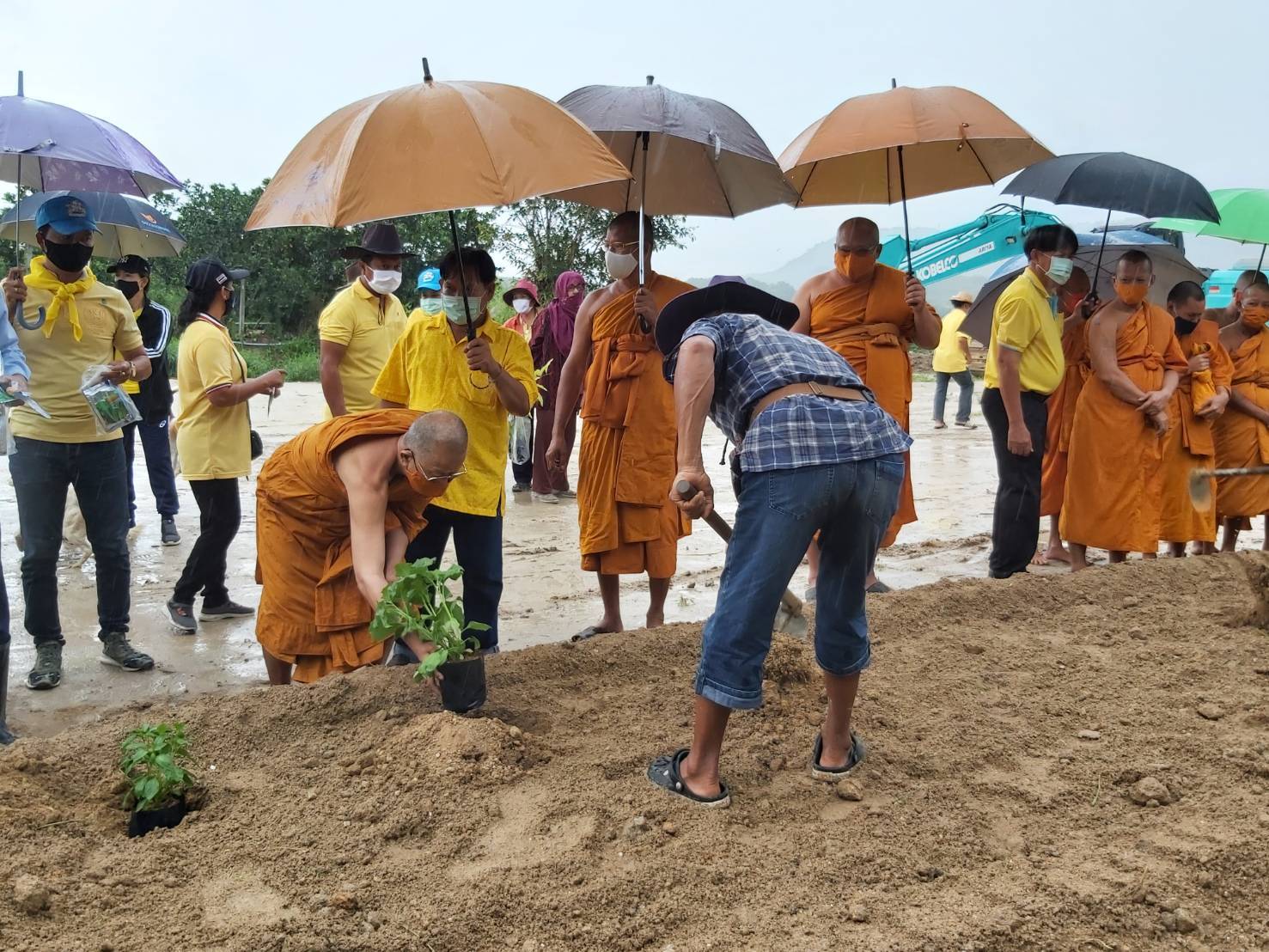“พช.ระยอง” ร่วมกิจกรรมปลูกต้นไม้ ตามโครงการปลูกป่าเฉลิมพระเกียรติ เนื่องในโอกาสมหามงคลพระราชพิธีบรมราชาภิเษก ครบรอบ 1 ปี เพื่อถวายเป็นพระราชกุศลแด่พระบาทสมเด็จพระเจ้าอยู่หัว