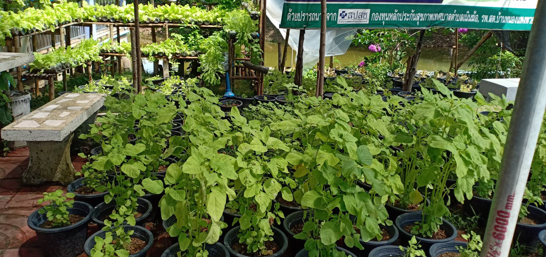 วันที่  9  มิถุนายน 2563 เวลา 13.00 น. “พช.ระยอง” ดำเนินโครงการคัดสรรกิจกรรมพัฒนาชุมชนดีเด่น ประจำปี 2563  ณ ห้องสมุดประชารัฐบ้านเนินฆ้อ หมู่ที่ 3 ตำบลเนินฆ้อ อำเภอแกลง