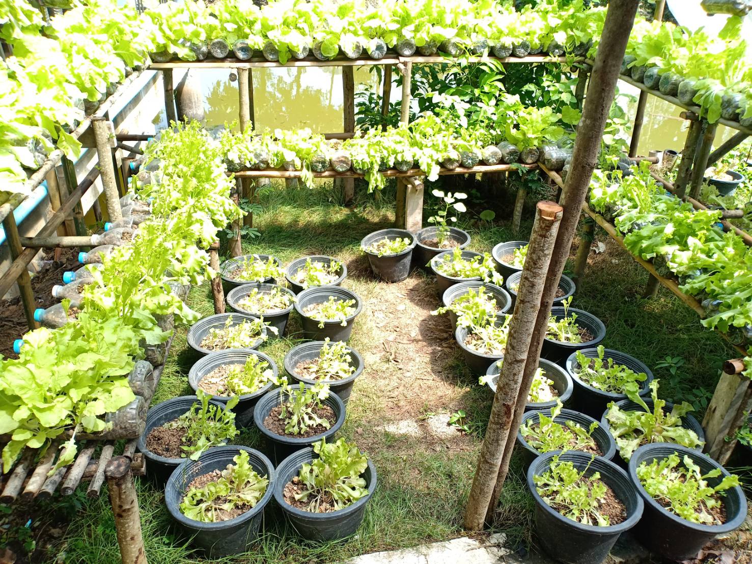 วันที่  9  มิถุนายน 2563 เวลา 13.00 น. “พช.ระยอง” ดำเนินโครงการคัดสรรกิจกรรมพัฒนาชุมชนดีเด่น ประจำปี 2563  ณ ห้องสมุดประชารัฐบ้านเนินฆ้อ หมู่ที่ 3 ตำบลเนินฆ้อ อำเภอแกลง