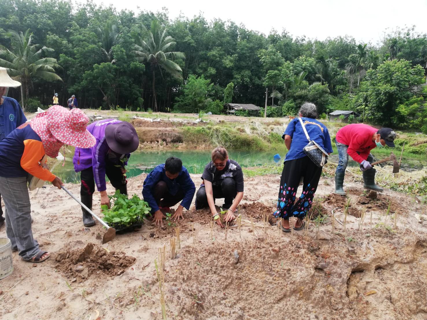 ? “พช.ระยอง”  Kick off  โครงการผู้นำต้นแบบการพัฒนาคุณภาพชีวิตตามหลักทฤษฎีใหม่ รูปแบบประยุกต์ “โคก หนอง นา โมเดล”  @ อำเภอแกลง  ?
