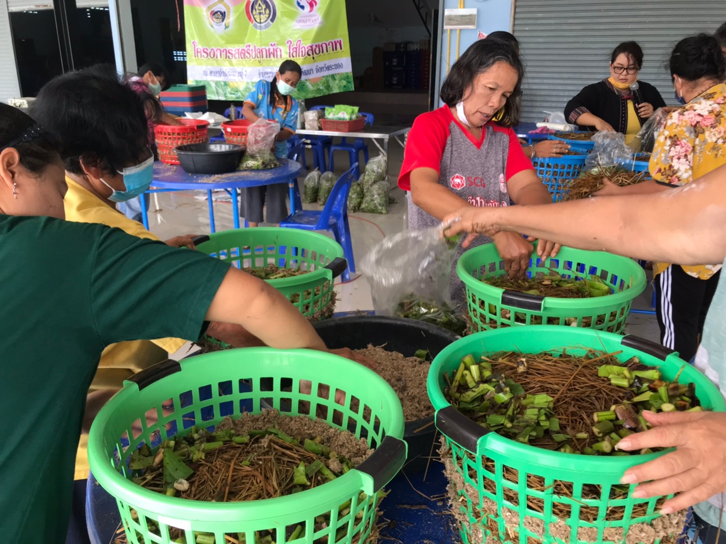 “พช.ระยอง”  ติดตามสนับสนุนโครงการสตรีปลูกผัก ใส่ใจสุขภาพ