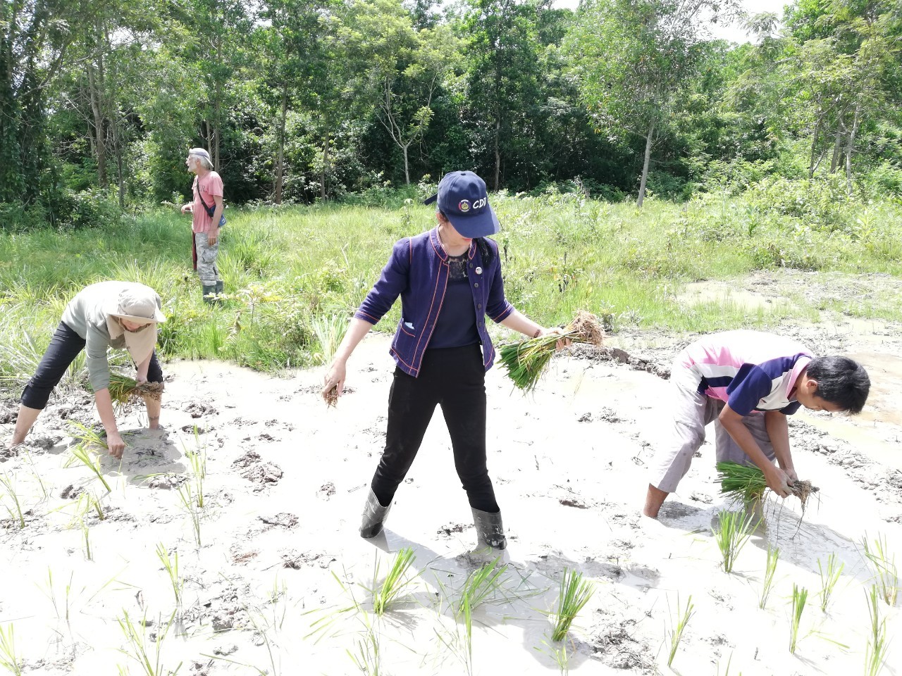 พช.ระยอง  @ สพอ. แกลง ขับเคลื่อนกิจกรรม  “โคก หนอง นา โมเดล” แห่งที่ 3