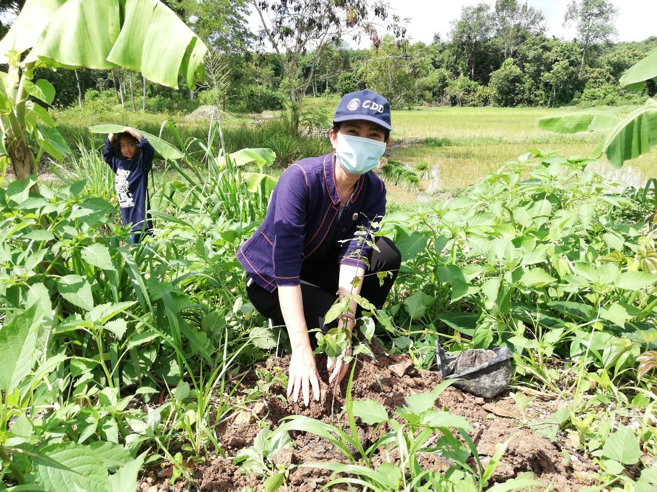 พช.ระยอง  @ สพอ. แกลง ขับเคลื่อนกิจกรรม  “โคก หนอง นา โมเดล” แห่งที่ 3