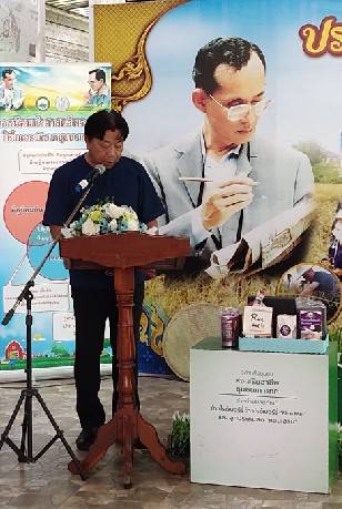 พช.ระยอง ร่วมอนุรักษ์แปลงนาผืนสุดท้ายใจกลางเมืองอุตสาหกรรม