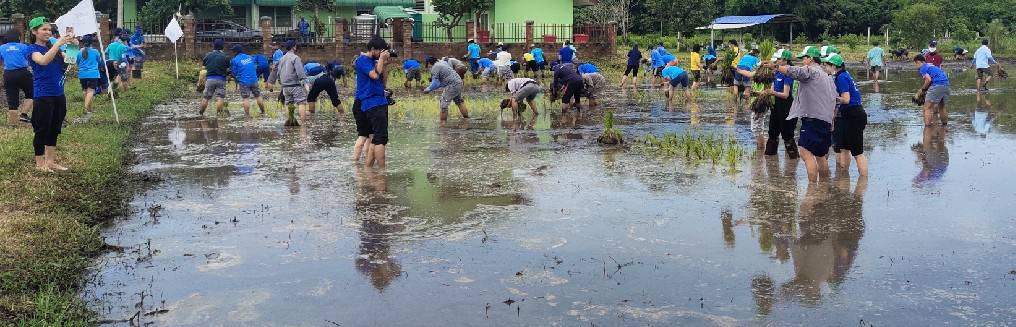พช.ระยอง ร่วมอนุรักษ์แปลงนาผืนสุดท้ายใจกลางเมืองอุตสาหกรรม
