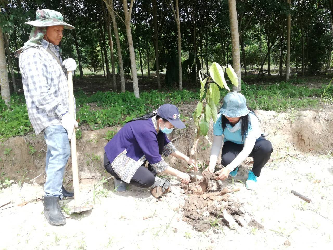 พช.ระยอง @ สพอ.แกลง ขับเคลื่อนกิจกรรม “โคก หนอง นา โมเดล”