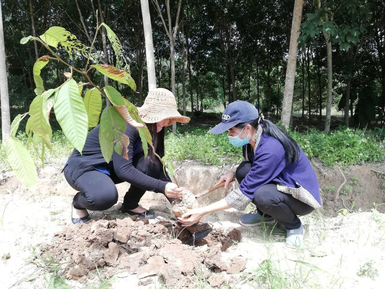 พช.ระยอง @ สพอ.แกลง ขับเคลื่อนกิจกรรม “โคก หนอง นา โมเดล”