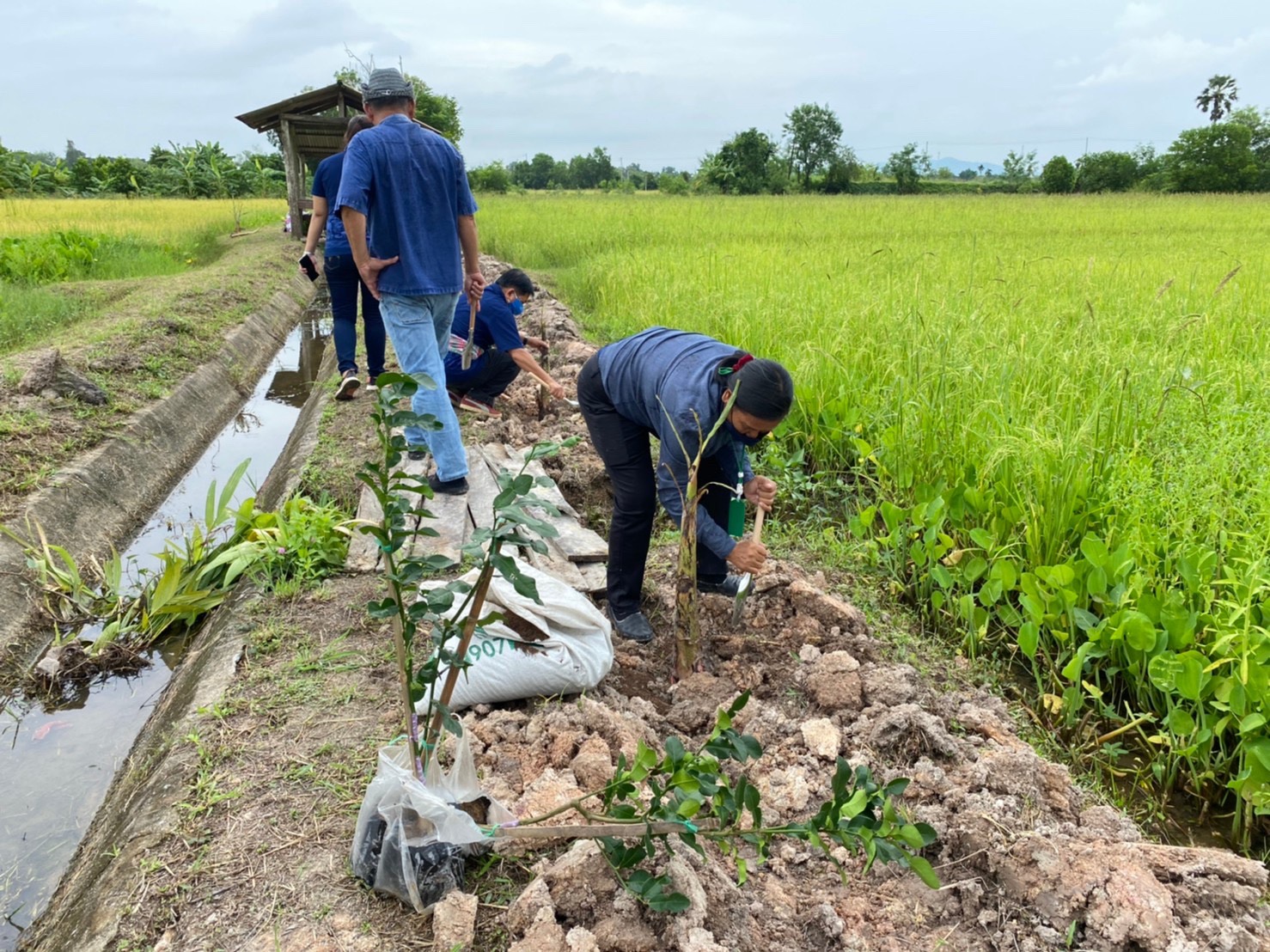 พช.ระยอง @ สพอ.บ้านค่าย ขับเคลื่อนกิจกรรม  “โคก หนอง นา โมเดล”