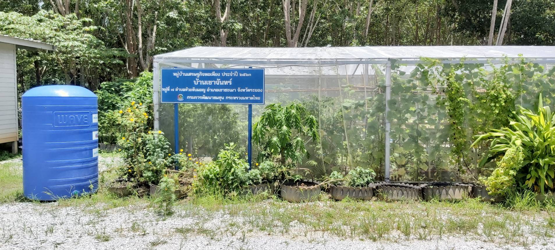 พช.ระยอง ร่วมสำรวจพื้นที่โครงการพัชรสุธาคชานุรักษ์