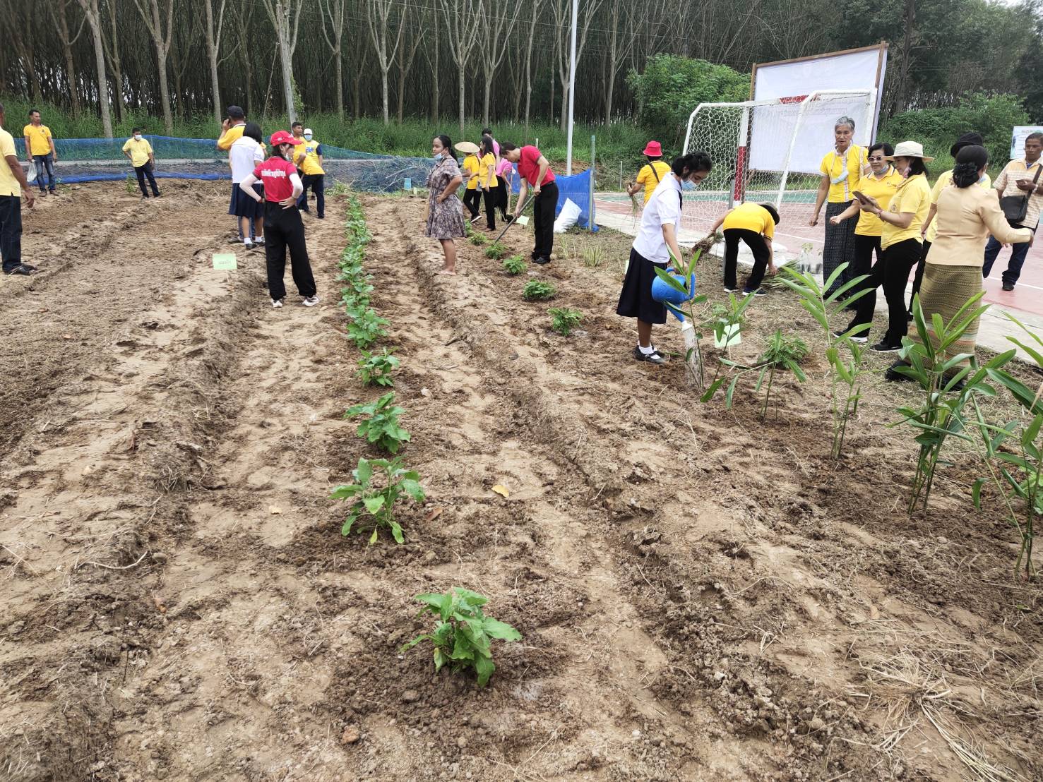 “พช.ระยอง” ดำเนินกิจกรรมการขยายผลปลูกผักสวนครัวจากวัดสู่ชุมชน ตามหลัก “บวร” ระยะที่ 2 ณ โรงเรียนสามัคคีราษฎร์บำรุง ต.แกลง อ.เมือง