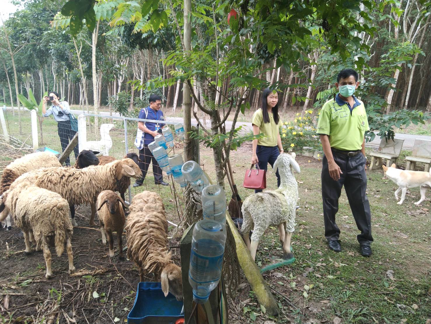 “พช.ระยอง” นิเทศติดตามและสนับสนุนการดำเนินงานสำนักงานพัฒนาชุมชนอำเภอวังจันทร์
