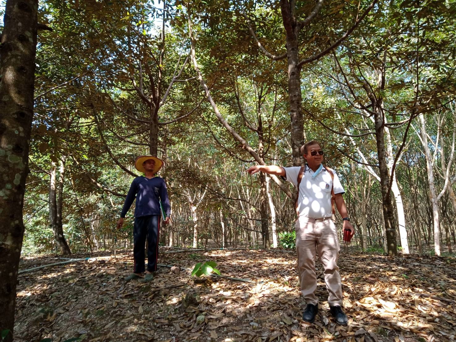 ? พช.ระยอง ติดตามการเตรียมความพร้อมพื้นที่แปลง ตามโครงการ “โคก หนอง นา โมเดล”  ?