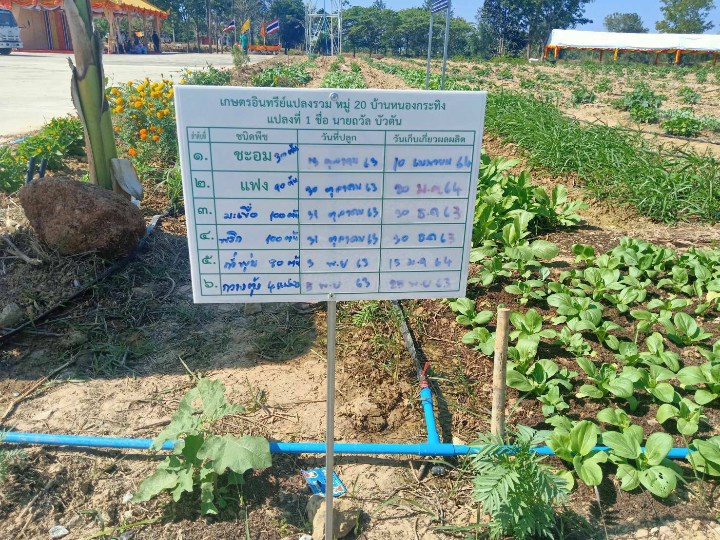 ? “พช.ระยอง” เตรียมความพร้อมการจัดนิทรรศการแสดงผลการดำเนินงานการส่งเสริมอาชีพหมู่บ้านคชานุรักษ์ และหมู่บ้านขยายผล ?