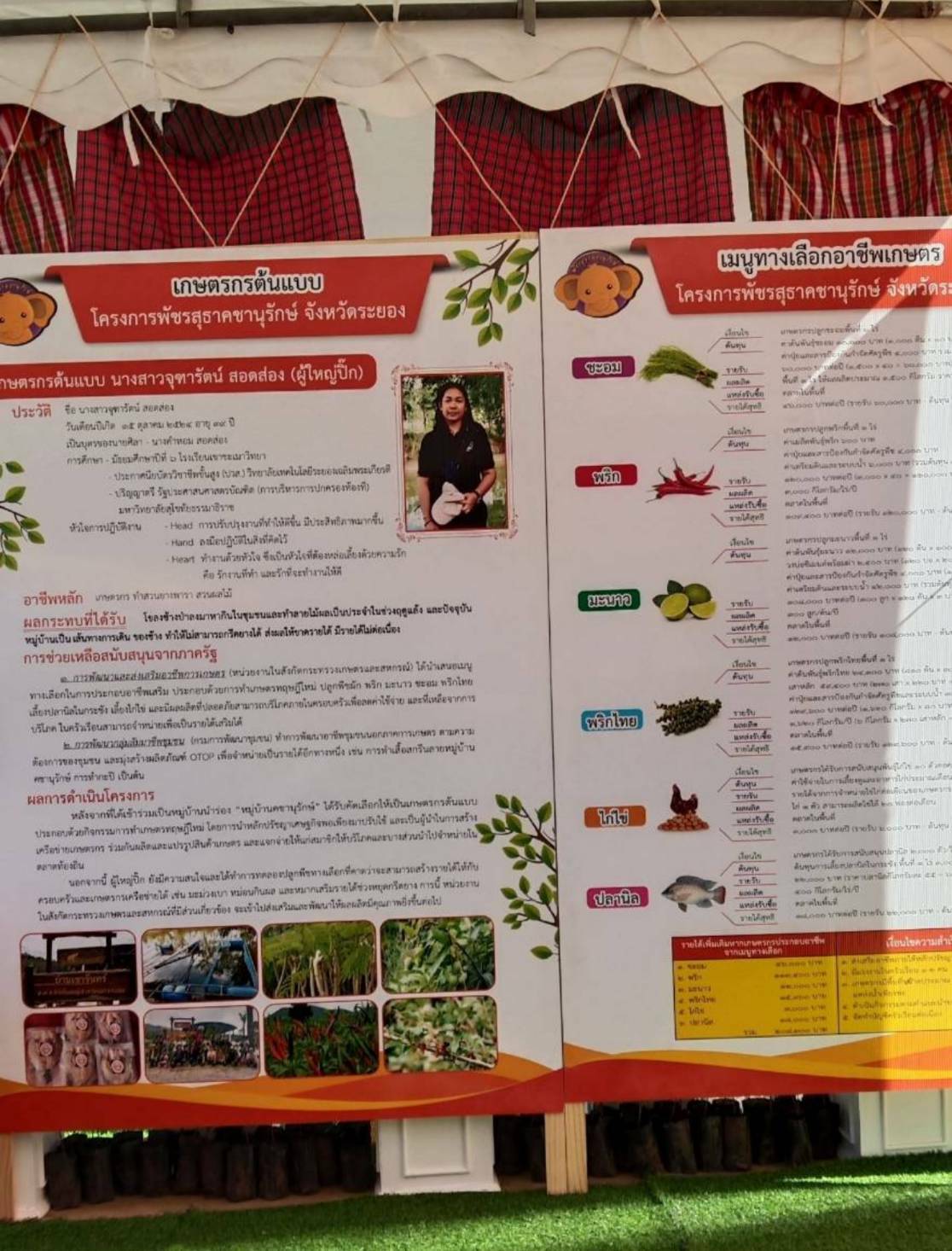 ? “พช.ระยอง” เตรียมความพร้อมการจัดนิทรรศการแสดงผลการดำเนินงานการส่งเสริมอาชีพหมู่บ้านคชานุรักษ์ และหมู่บ้านขยายผล ?