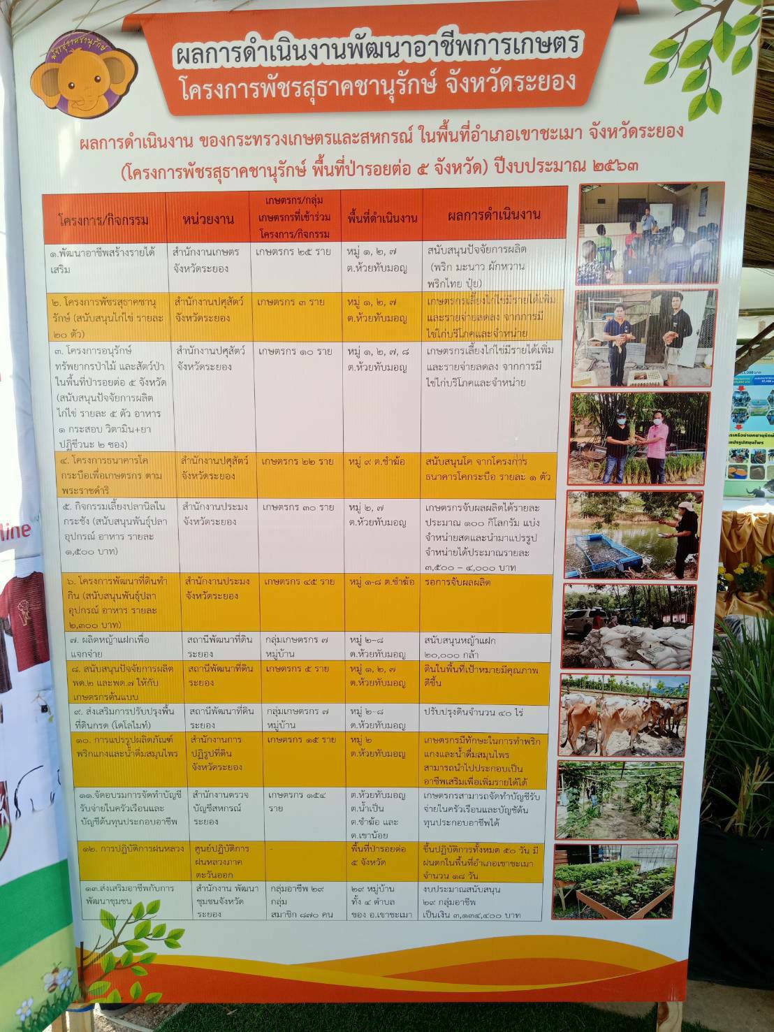 ? “พช.ระยอง” เตรียมความพร้อมการจัดนิทรรศการแสดงผลการดำเนินงานการส่งเสริมอาชีพหมู่บ้านคชานุรักษ์ และหมู่บ้านขยายผล ?